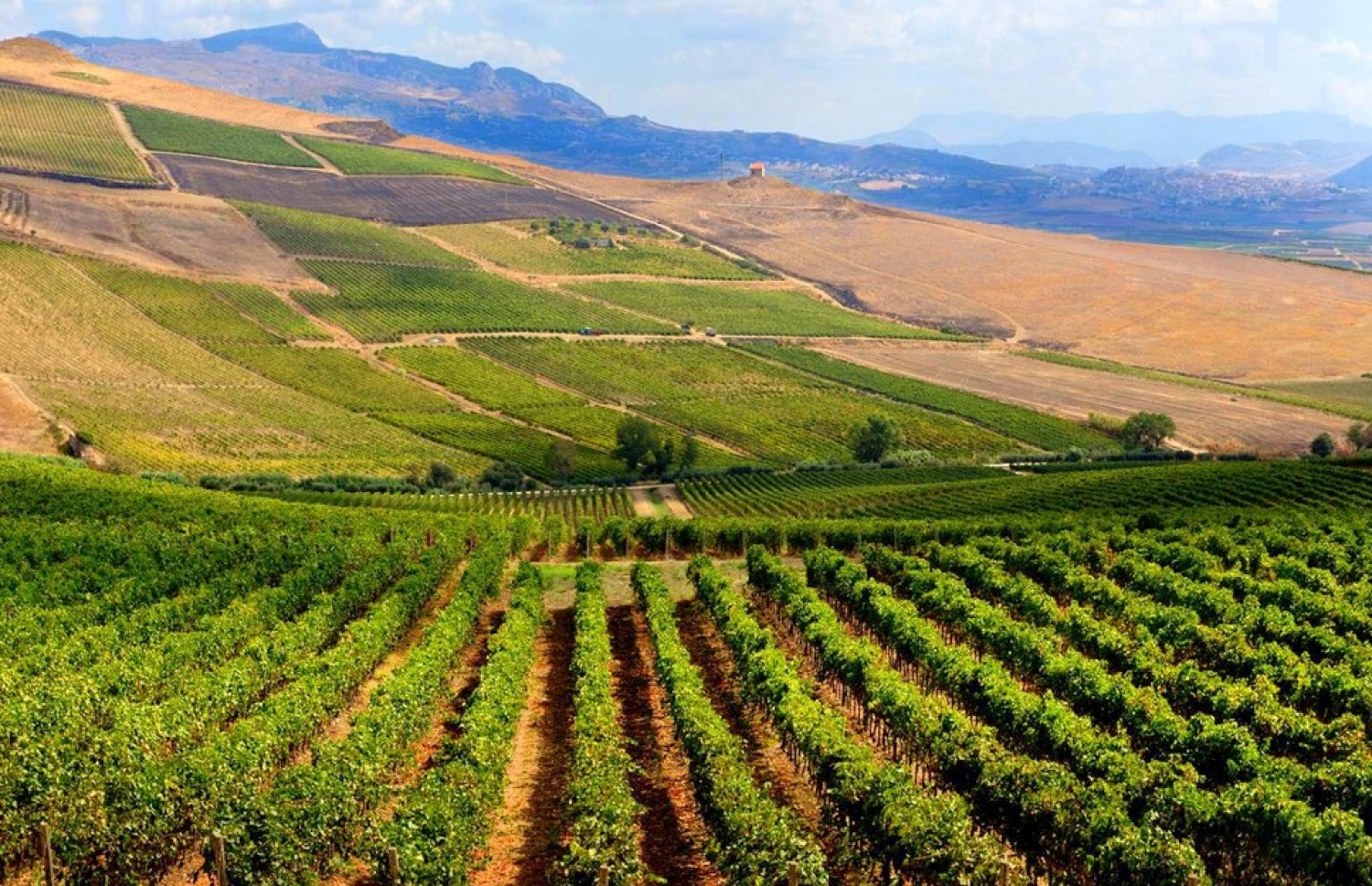 ސަމްބޫކާ އަވަށުގެ ދަނޑުބިންތަކެއް.