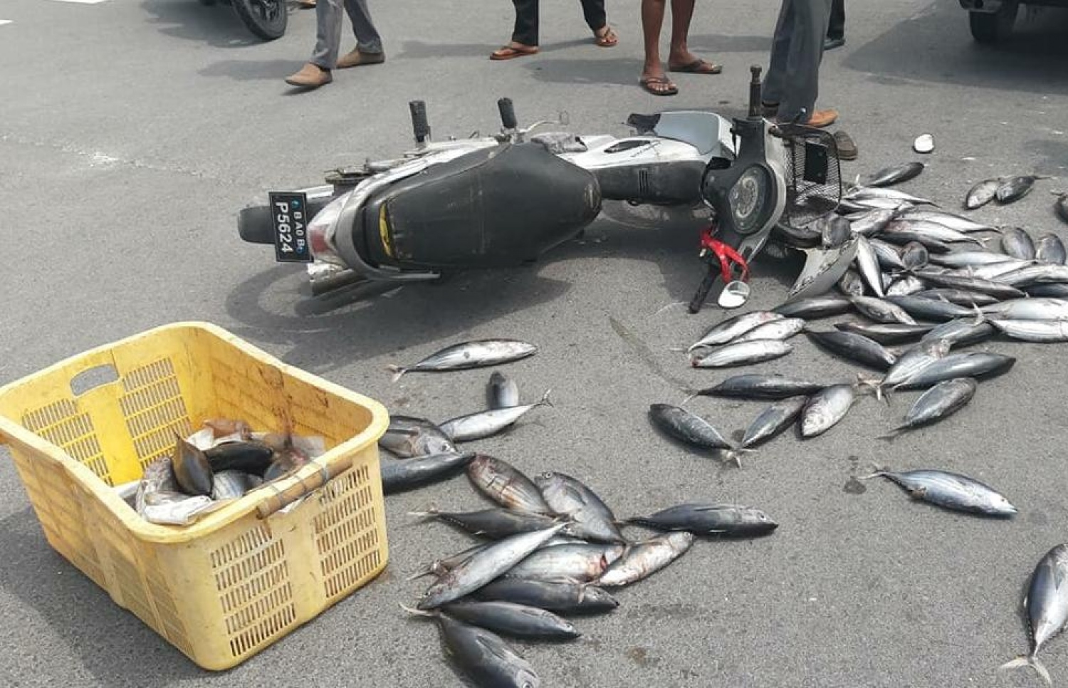 ލ. އަތޮޅުގައި ހިނގި އެކްސިޑެންޓްގައި މަސް ވަށިގަނޑެއް ހިފައިގެން ސައިކަލެއްގައި ދިޔަ މީހަކު އެކްސިޑެންޓްވެ މަސްތަކާއި ސައިކަލް ވެއްޓިފައި-- ފޮޓޯ: ސޯޝަލް މީޑިއާ