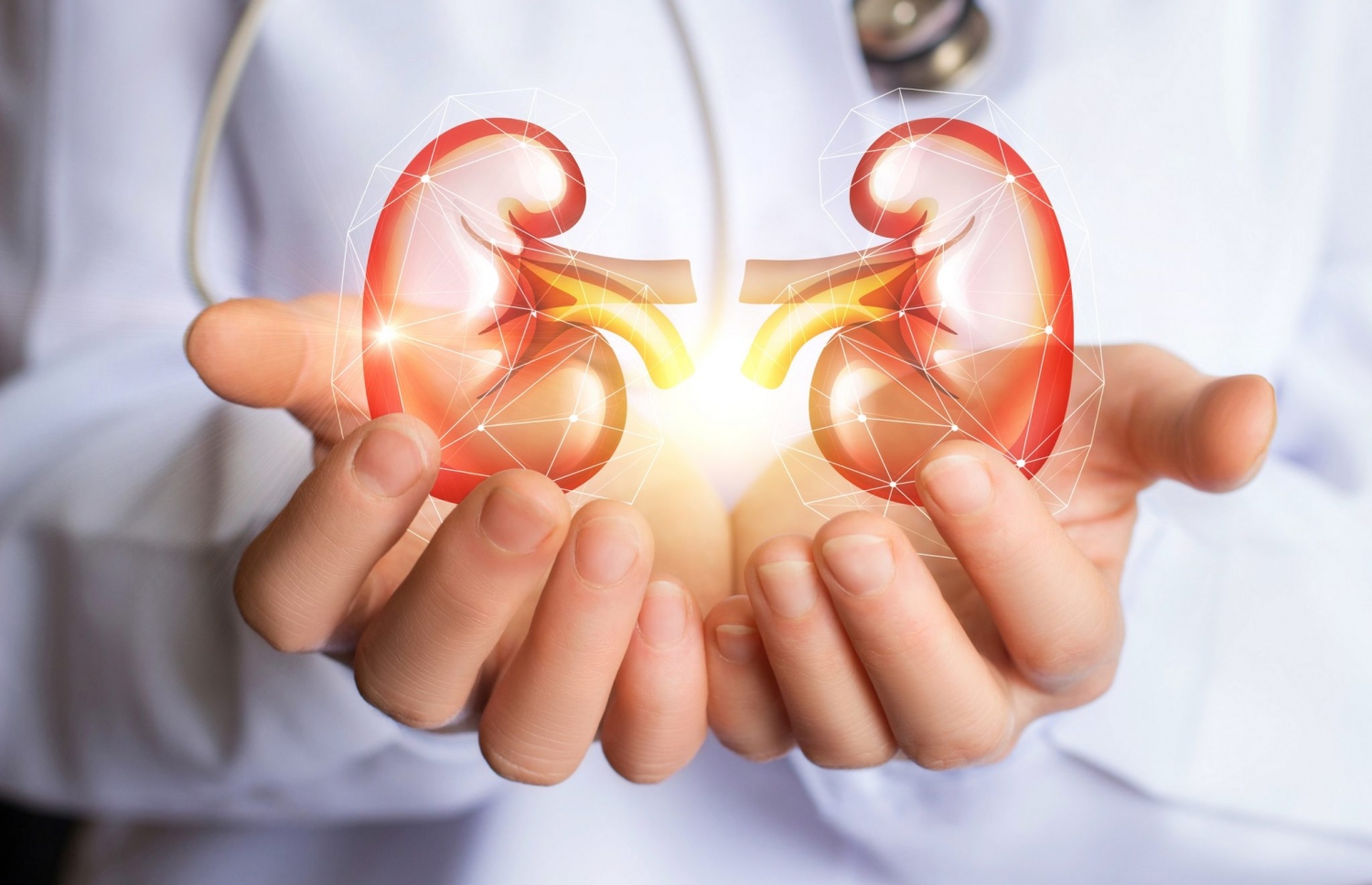 ކިޑްނީ ހަދިޔާ ކުރުން ޕްރޮމޯޓް ކުރާ ވޯލްޕޭޕާއެއް--