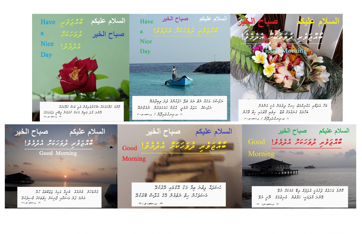 ޝާކިރު ފޮނުއްވާފައިވާ މެސެޖްތަކެއް.