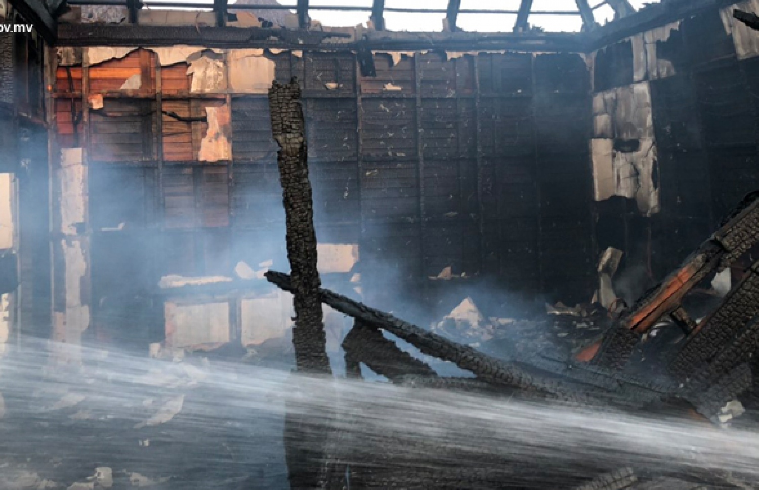 ތާޖްގައި ރޯވެ އަނދައި ހުލިވެފައި-- ފޮޓޯ: އެމްއެންޑީއެފް