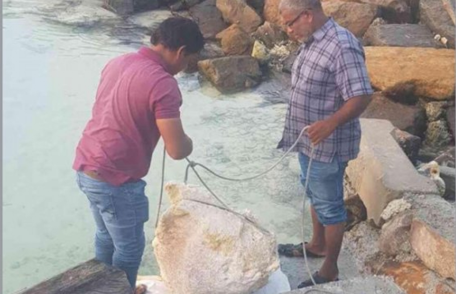 ށ. ފީވަކުން އިއްޔެ ހޮވި މާވަހަރު.