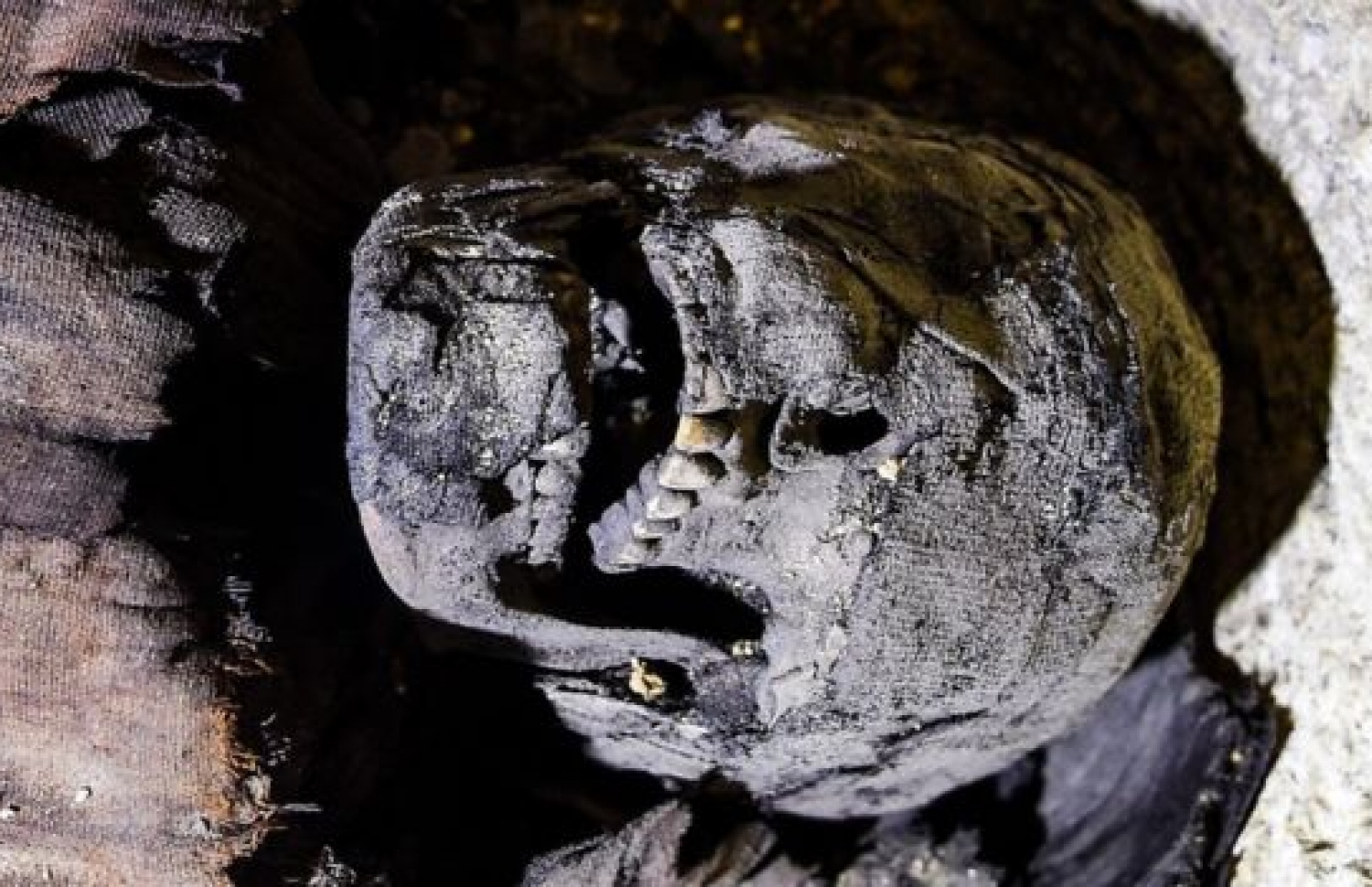 މިސްރުން ފެނުނު މަމީތައް. -- ފޮޓޯ: އޭއެފްޕީ