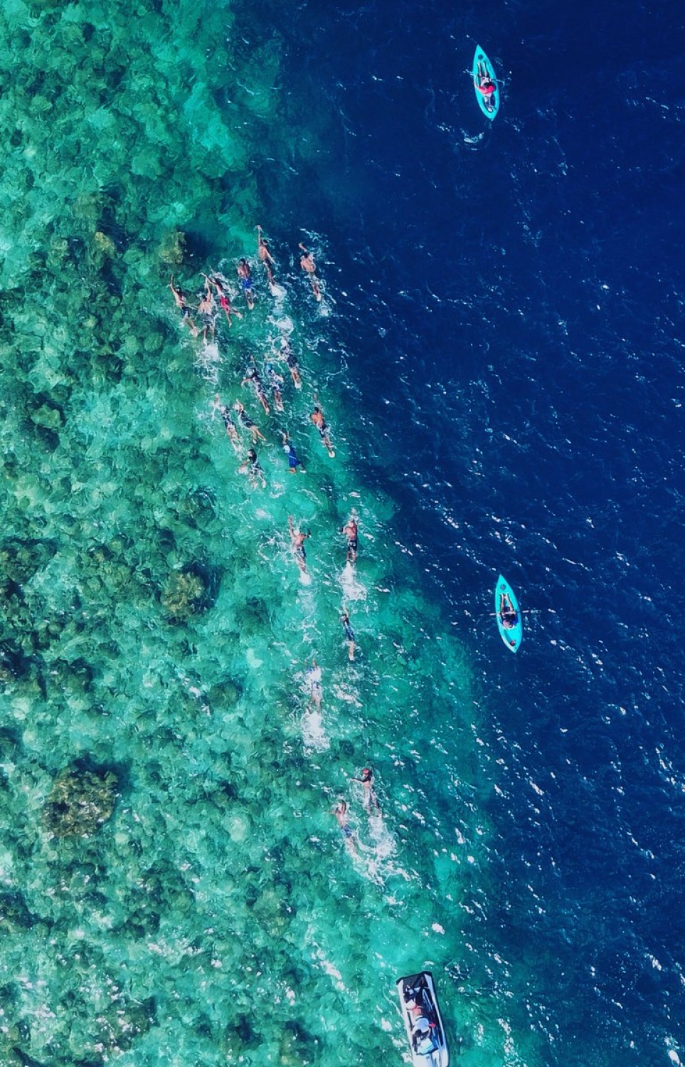 ބ. އޭދަފުށި: ފެބްރުއަރީ 2، 2019: މަޝްހޫރު ގާނޫނީ ވަކީލް، އަދި ދުވުންތެރިޔާ، ހުސައިން ޝަމީމް އިސްވެ ހުންނަވައިގެން ހިންގާ، ސްވިމް މޯލްޑިވްސް އިން ފެށި، "ސްވިމް މޯލްޑިވްސް ބާ ބީއާރް ކްރޯލް 2019" އިވެންޓުގައި ފެތުންތެރިން ފަތަނީ.-- ފޮޓޯ: ސްވިމް މޯލްޑިވްސް