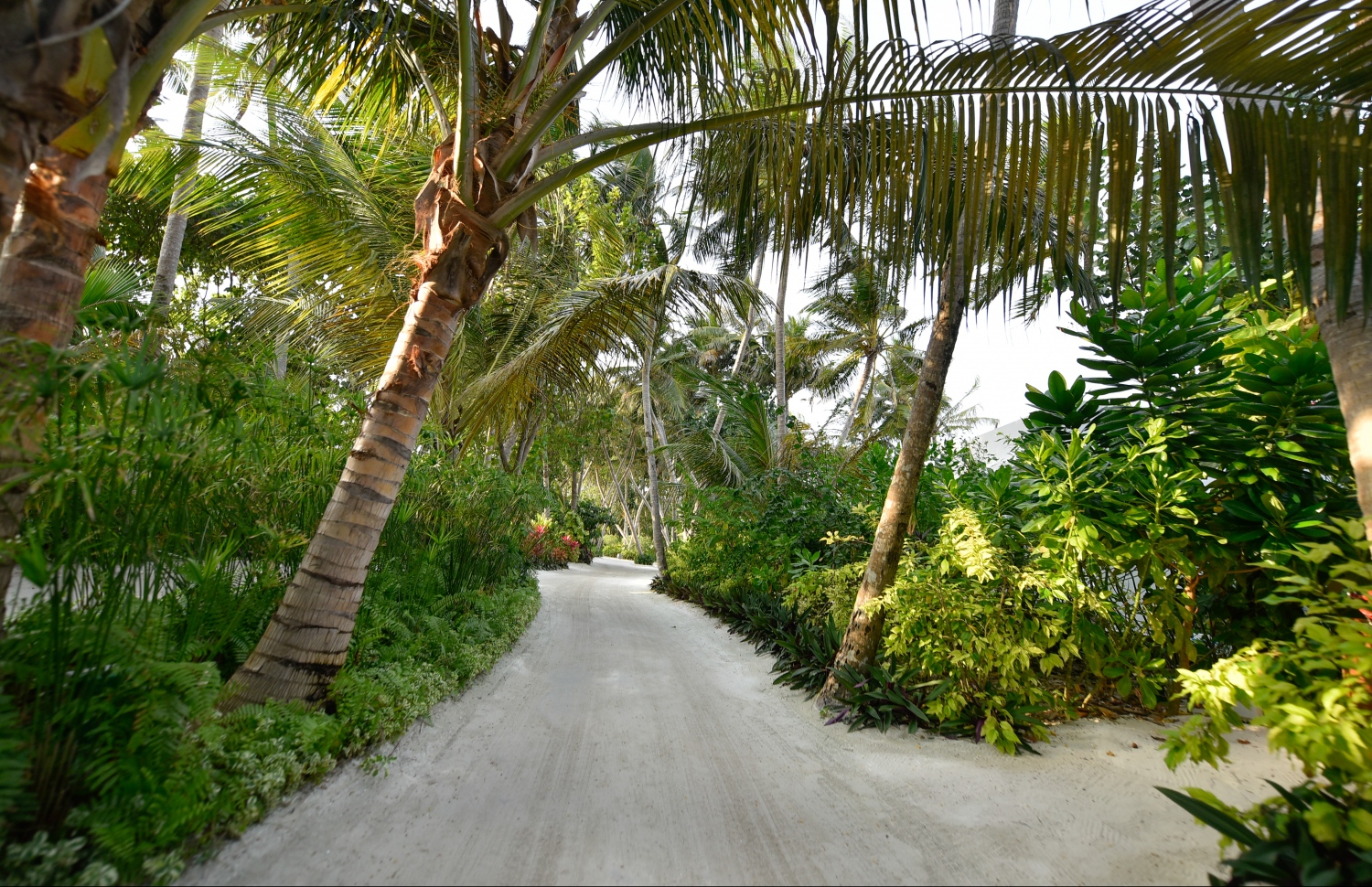 ލަކްސްގެ ފަރާތުން ރާއްޖޭގައި ހުޅުވި ދެވަނަ ރިސޯޓު، ލަކްސް ނޯތު މާލެ ރިސޯޓުގެ ރަށުތެރެ.---ފޮޓޯ: ހުސައިން ވަހީދު/މިހާރު