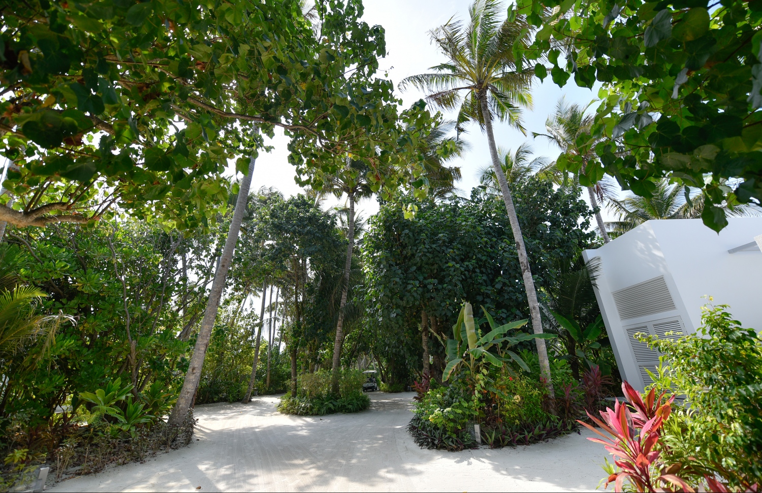 ލަކްސްގެ ފަރާތުން ރާއްޖޭގައި ހުޅުވި ދެވަނަ ރިސޯޓު، ލަކްސް ނޯތު މާލެ ރިސޯޓުގެ ރަށުތެރެ.---ފޮޓޯ: ހުސައިން ވަހީދު/މިހާރު