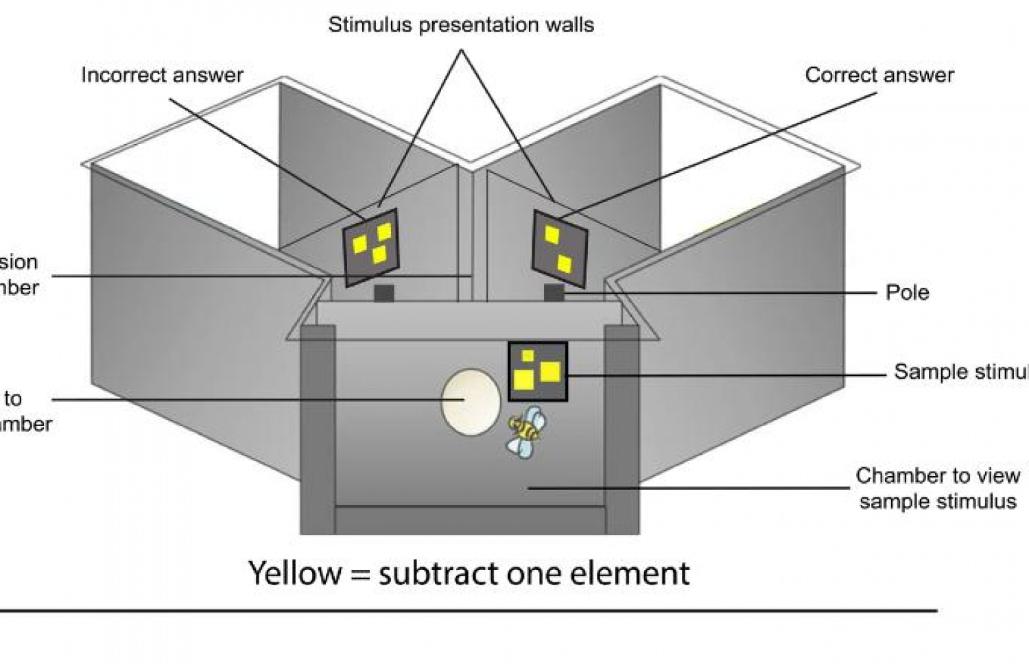 ކުޅަނދުރުގެ ހިސާބު ޓެސްޓް ހަދަން ބޭނުން ކުރި ޑައިގްރާމް.