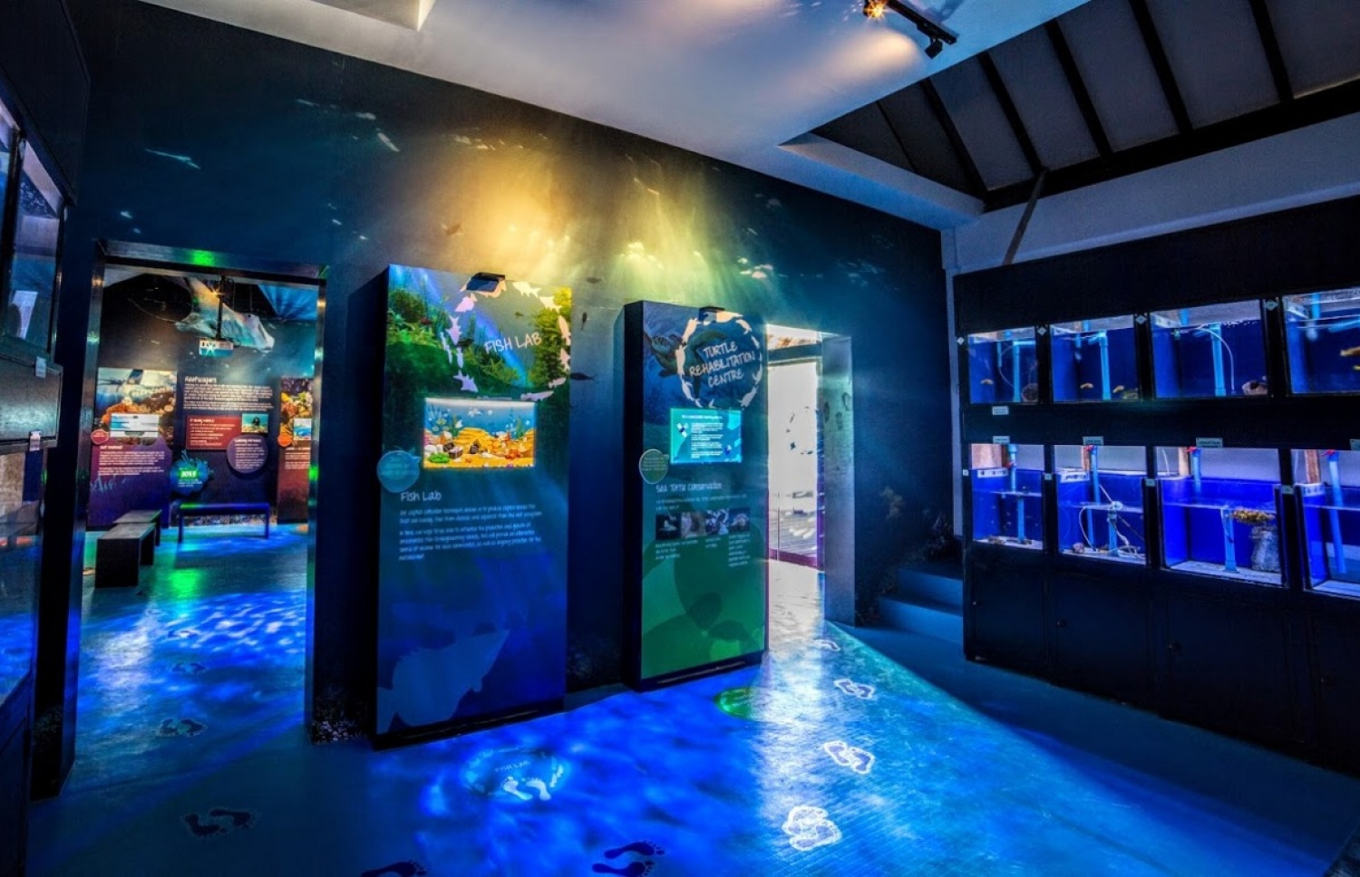 މެރން ޑިސްކަވެރީ ސެންޓަރު: މިއީ ހިތްގައިމު ތަނެއް -- ފޮޓޯ: ފޯސީޒަން