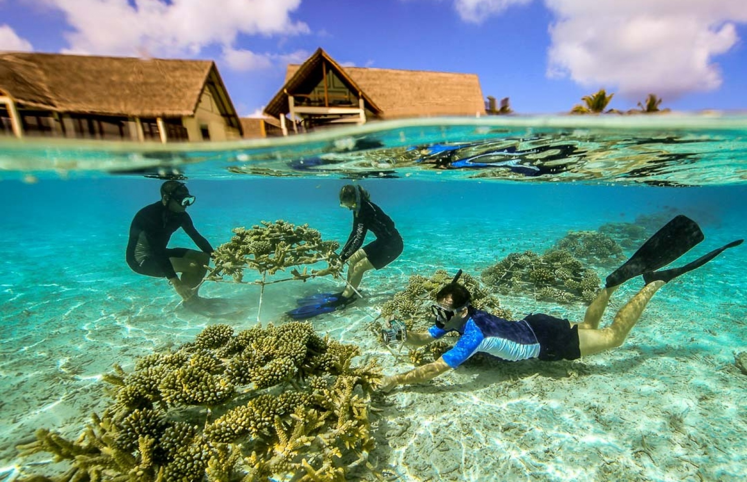 ފޯ ސީޒަން ލަނޑާގިރާވަރު ރިސޯޓުގައި މުރަކަ ހައްދަނީ: ރާއްޖޭގެ ތިމާވެއްޓަށް ބޮޑު އެހީތެރިކަމެއް -- ފޮޓޯ: ފޯސީޒަން