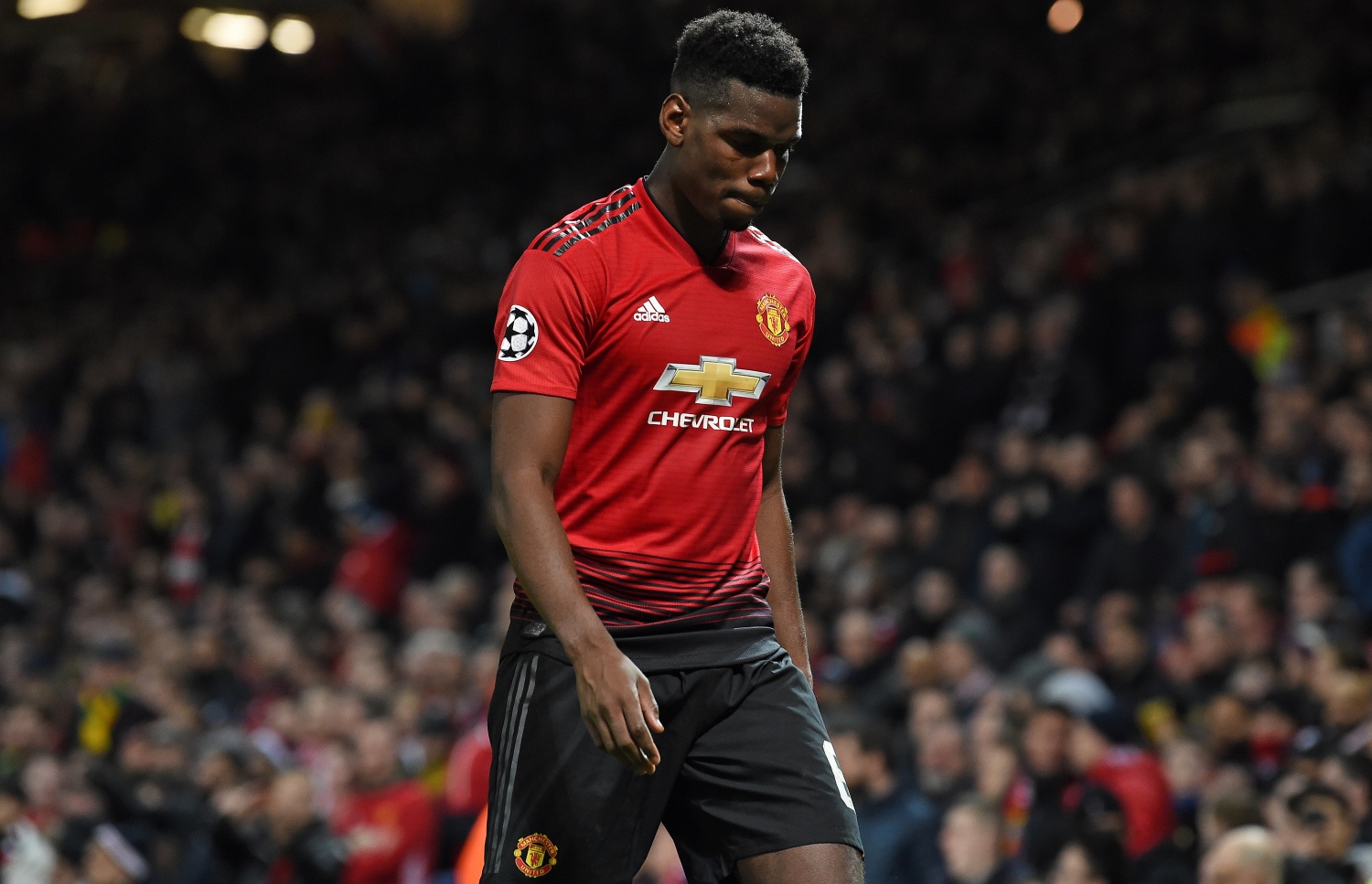 ރަތް ކާޑު ދެއްކުމުން ޕޮގްބާ ދަނޑުން ފައިބަނީ. -- ފޮޓޯ: އޭއެފްޕީ