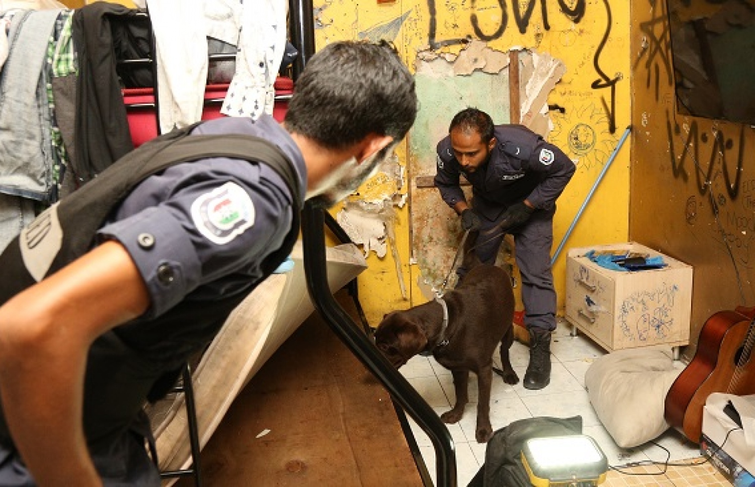 މަސްތުވާތަކެއްޗާ ދެކޮޅަށް މީގެ ކުރިން ހިންގި އޮޕަރޭޝަނެއްގައި ފުލުހުންތަކެއް ޑޯގް ސްކޮޑާއެކު ހަރަކާތްތެރިވަނީ -- ފޮޓޯ: ފުލުހުން