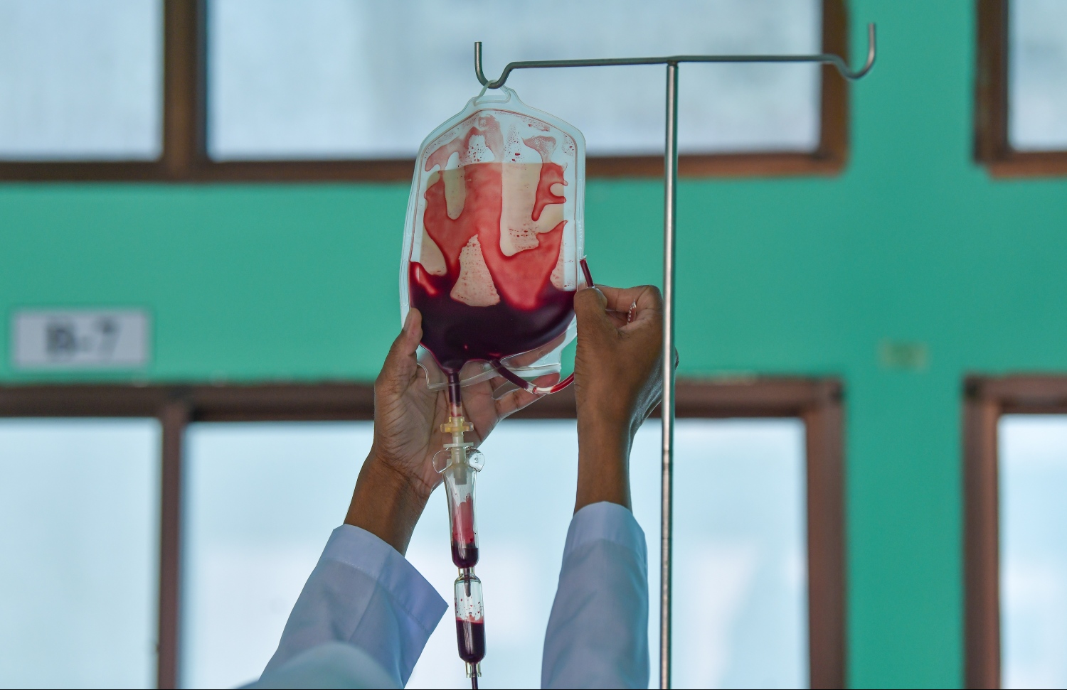 މީހެއްގެ ގަޔަށް ލޭ އަޅަން ބްލަޑް ބޭގް ބަހައްޓަނީ: ރާއްޖޭގައި ކަންބޮޑުވާން ޖެހޭ މިންވަރަކަށް ތެލެސީމިއާ ކެރިއަރުންގެ އަދަދު އިތުރުވާ ކަމަށް ތަފާސްހިސާބުތަކުން ދައްކާ -- ފޮޓޯ: މިހާރު