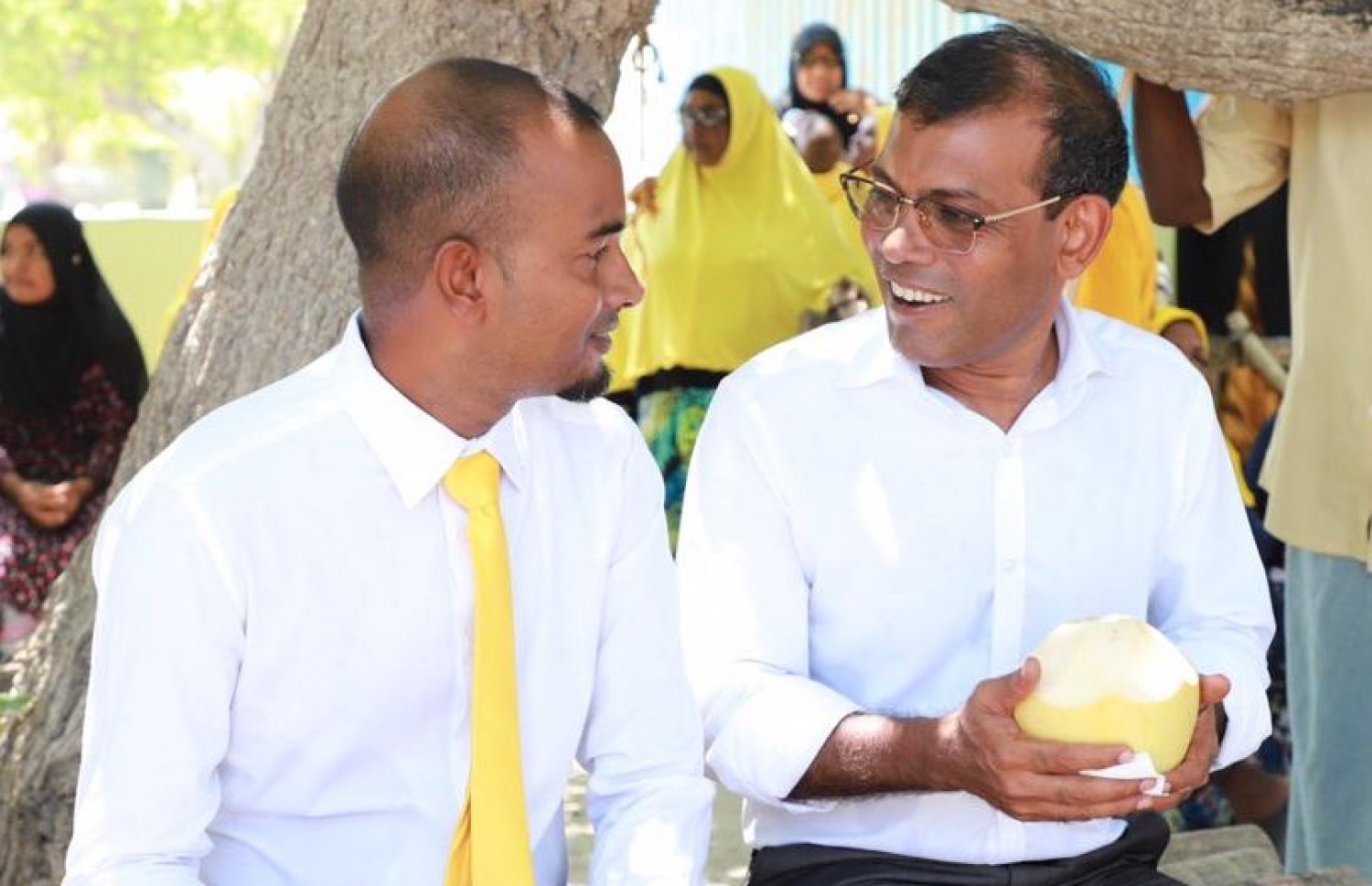 ނަޝީދު މިއަދު ނ. މާފަރަށް ވަޑައިގެން ކުރުނބާއެއް ހިފަހައްޓައިގެން. --- ފޮޓޯ: އެމްޑީޕީ