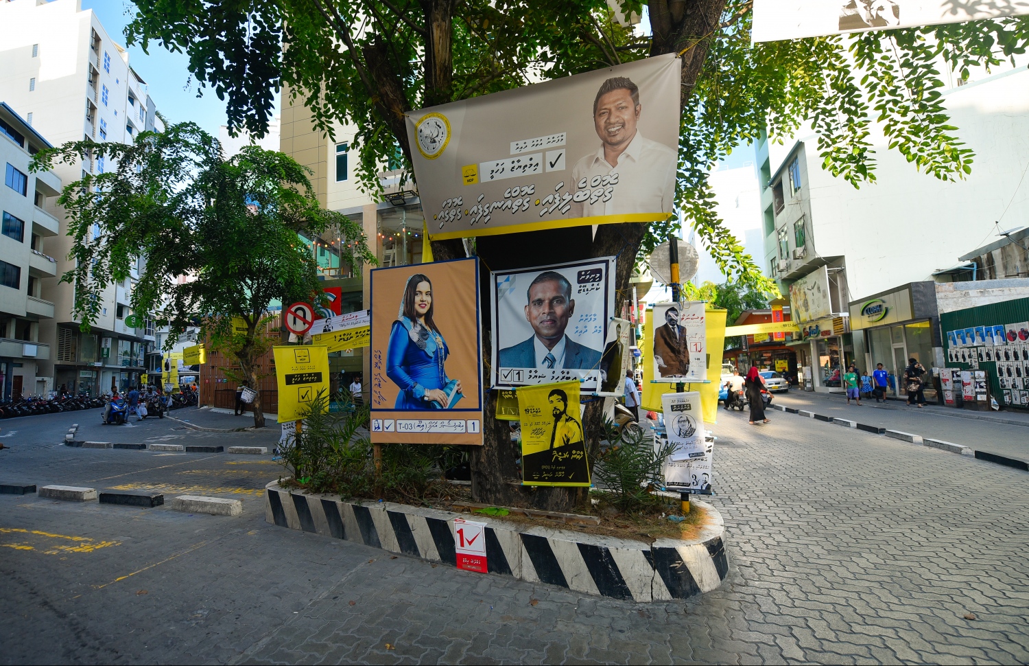 މަޖީދީމަގުގައި ހުރި ބުރެއްގައި އިންދާފައިހުރި ގަހެއްގައި ކެމްޕޭން ޕޯސްޓަރާއި ބިލްބޯޑު ހަރުކޮށް ފުރާލާފައި.---ފޮޓޯ: ހުސައިން ވަހީދު/މިހާރު