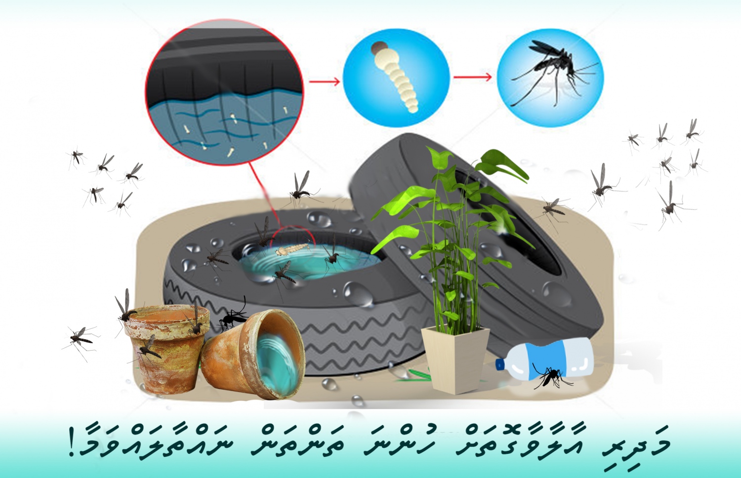 މަދިރި ނައްތާލަން ކުރެވޭނެ ކަންތައް -- ފޮޓޯ: އެޗްޕީއޭ