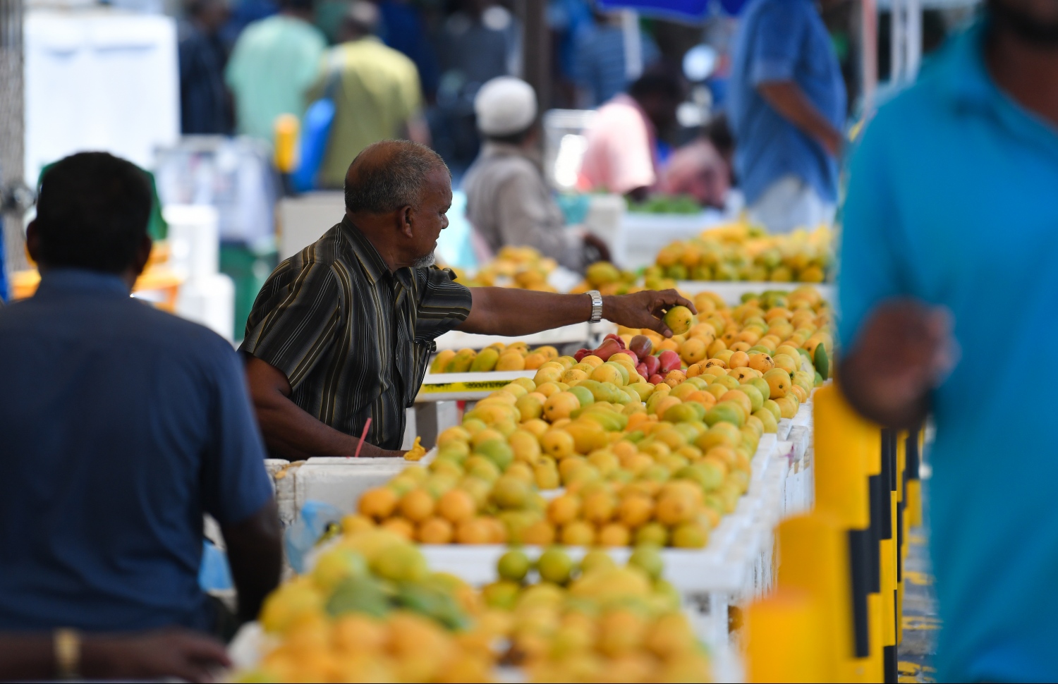 މާލެ: އޭޕްރިލް 25، 2019: ލޯކަލް މާރުކޭޓުގެ ބޭރުގައި ވިޔަފާރިވެރިއެއް އަނބު ވިއްކަނީ.---ފޮޓޯ: ހުސައިން ވަހީދު/މިހާރު