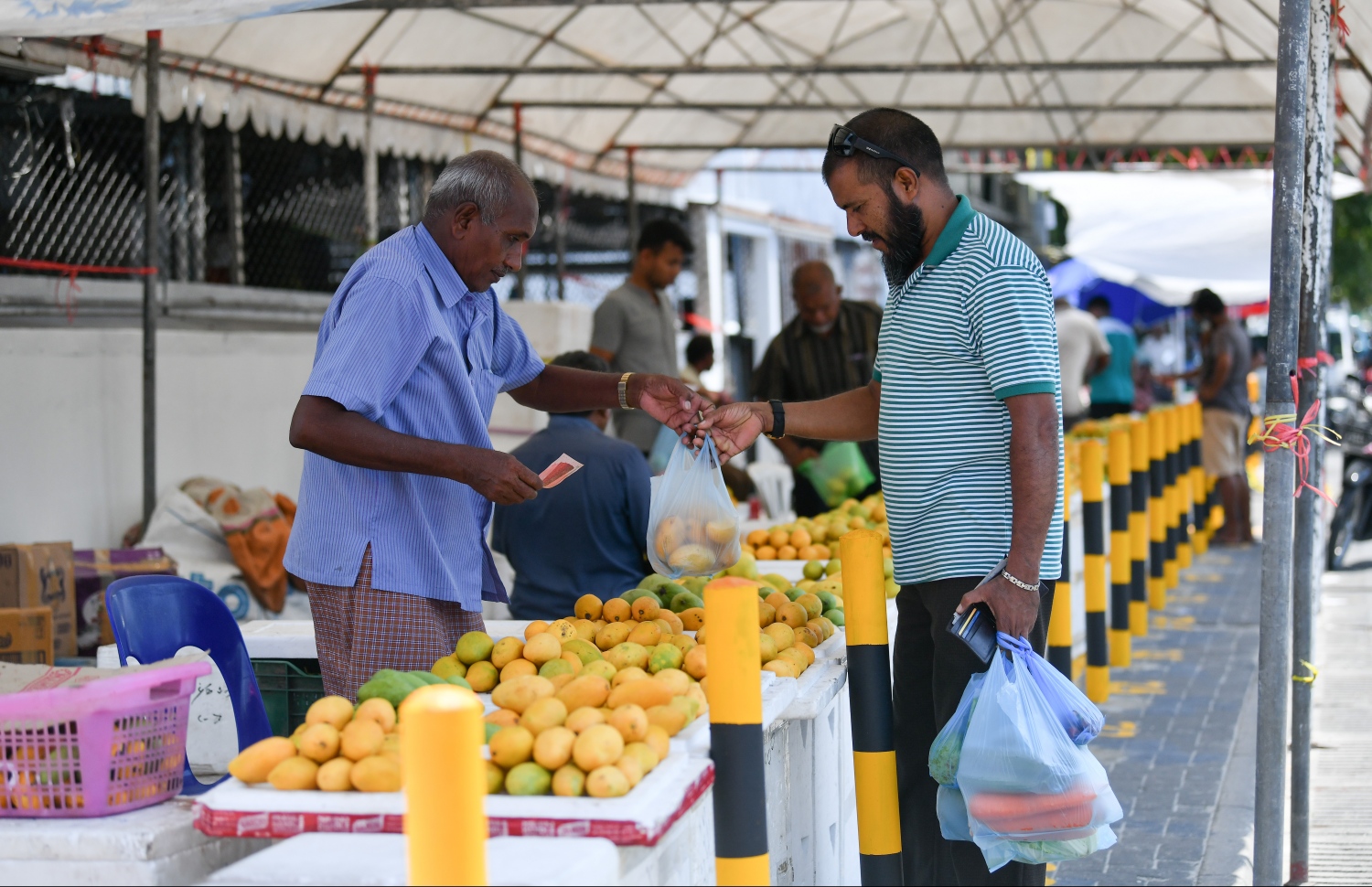 މާލެ: އޭޕްރިލް 25، 2019: ލޯކަލް މާރުކޭޓުގެ ބޭރުން މީހަކު އަނބު ގަންނަނީ.---ފޮޓޯ: ހުސައިން ވަހީދު/މިހާރު