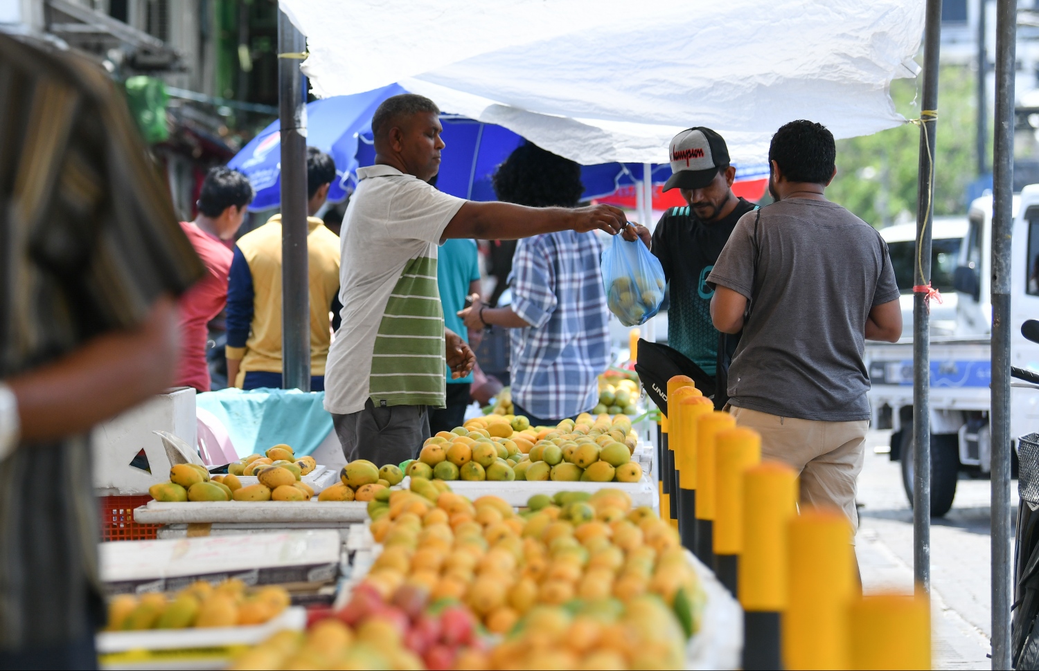 މާލެ: އޭޕްރިލް 25، 2019: ލޯކަލް މާރުކޭޓުގެ ބޭރުން މީހަކު އަނބު ގަންނަނީ.---ފޮޓޯ: ހުސައިން ވަހީދު/މިހާރު