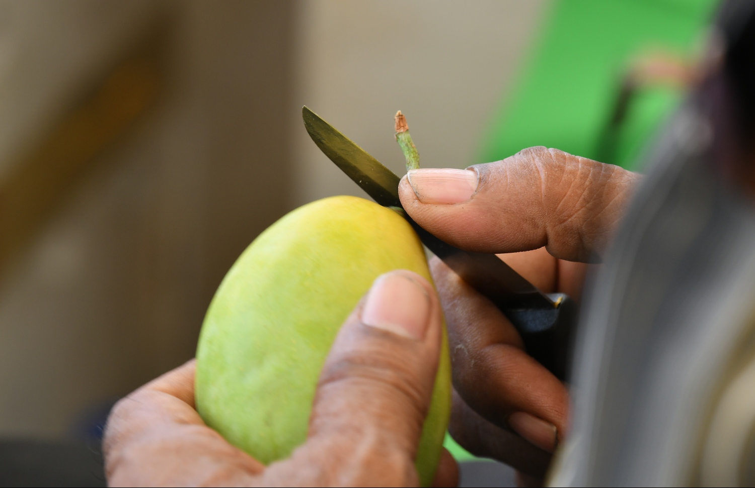 މާލެ: އޭޕްރިލް 25، 2019: ލޯކަލް މާރުކޭޓުގެ ވިޔަފާރިވެރިއެއް އަނބެއްގެ ތަނޑި ކަނޑާލަނީ.---ފޮޓޯ: ހުސައިން ވަހީދު/މިހާރު