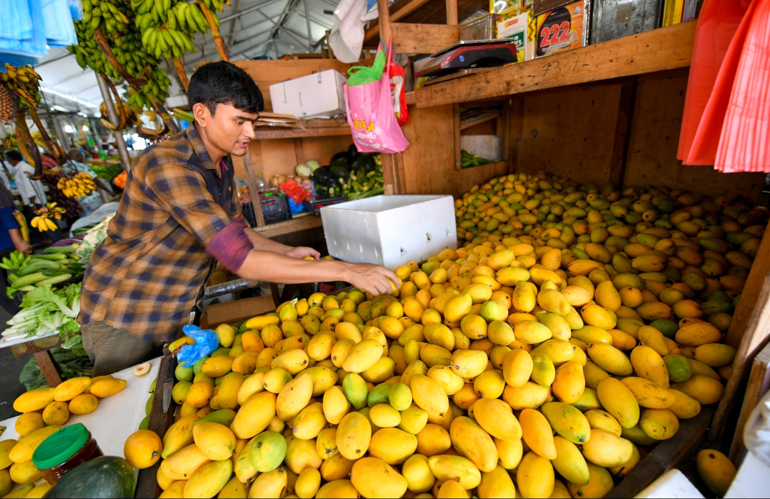 މާލެ: އޭޕްރިލް 25، 2019: ލޯކަލް މާރުކޭޓު ގޮޅިއެއްގެ ވިޔަފާރިވެރިޔެއް އެގޮޅީގައި ބަހައްޓާފައިހުރި ގިނަ އަދަދެއްގެ އަނބުތަކެއް ތަރުތީބު ކުރަނީ.---ފޮޓޯ: ހުސައިން ވަހީދު/މިހާރު