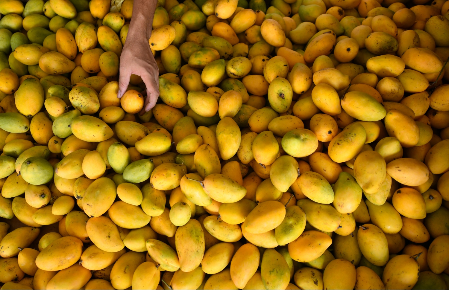 އަނބު މޫސުމާއެކު މާރުކޭޓު ދޮންވެފައި!