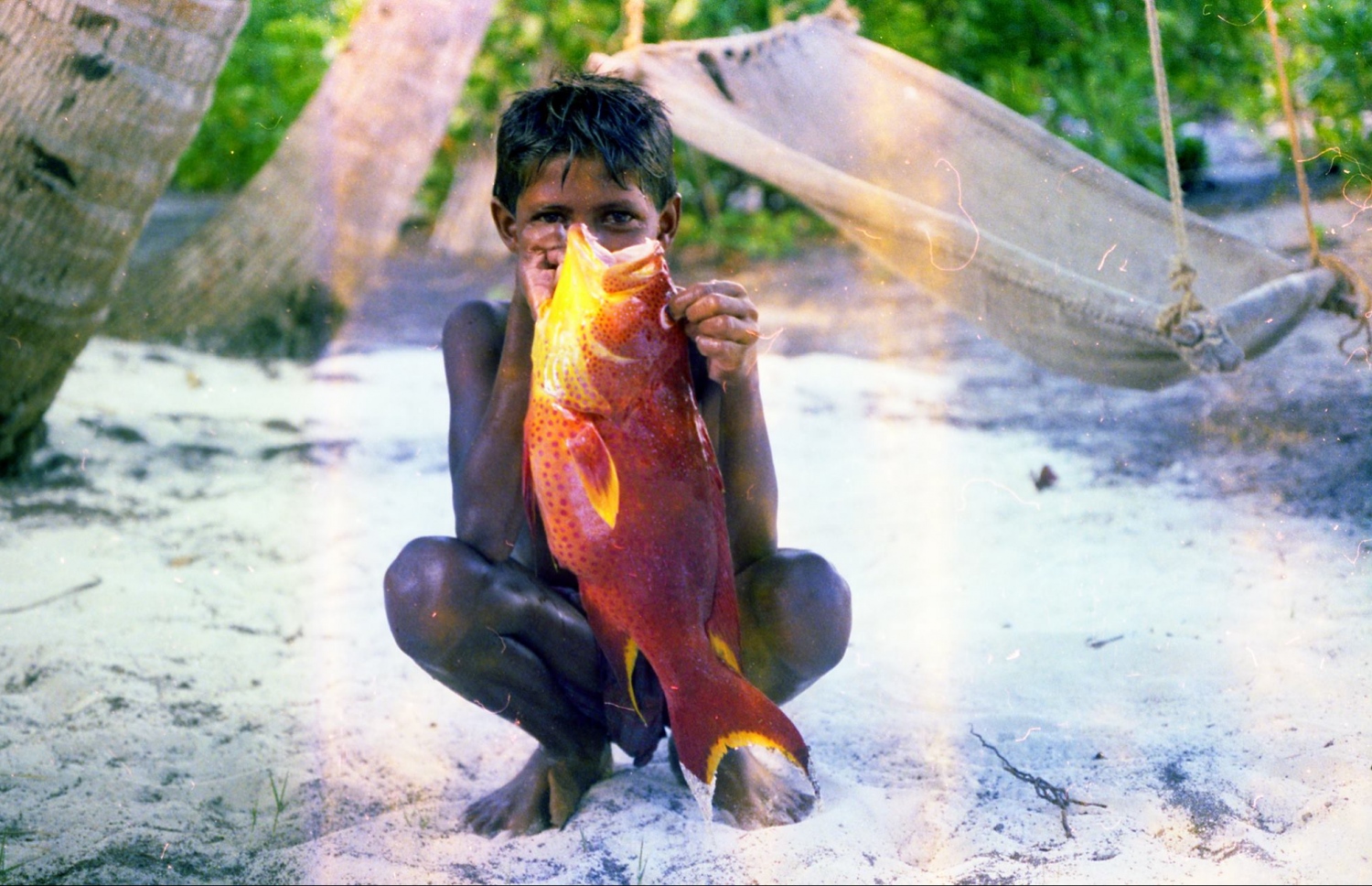 ކުޑަފުޅަދޫ: 1974: ކުޑަކުއްޖަކު ބާނާފައިއޮތް ފަރުމަހެއް ކެމެރާއަށް ދައްކާލަނީ.---ފޮޓޯ: ފްރޭންކް