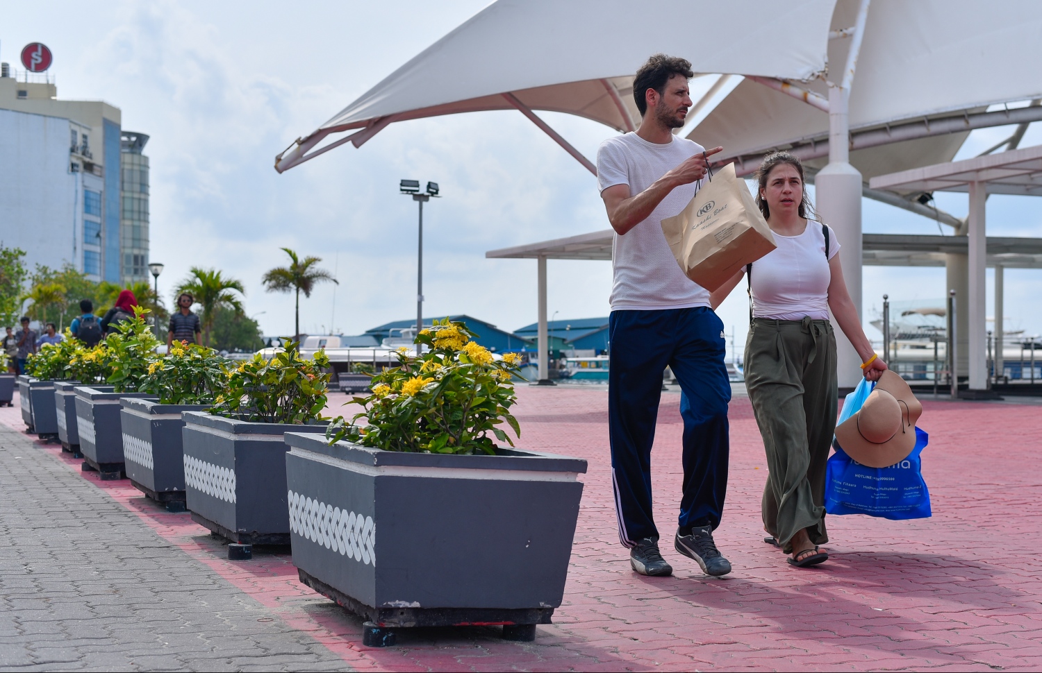 އެއް ނަމްބަރު ފާލަން ސަރަހައްދުގައި މާ ގަސްތަކެއް: ގަހަކީ ހިތްހަމަޖެހުމެއް -- ފޮޓޯ: ހުސައިން ވަހީދު/މިހާރު