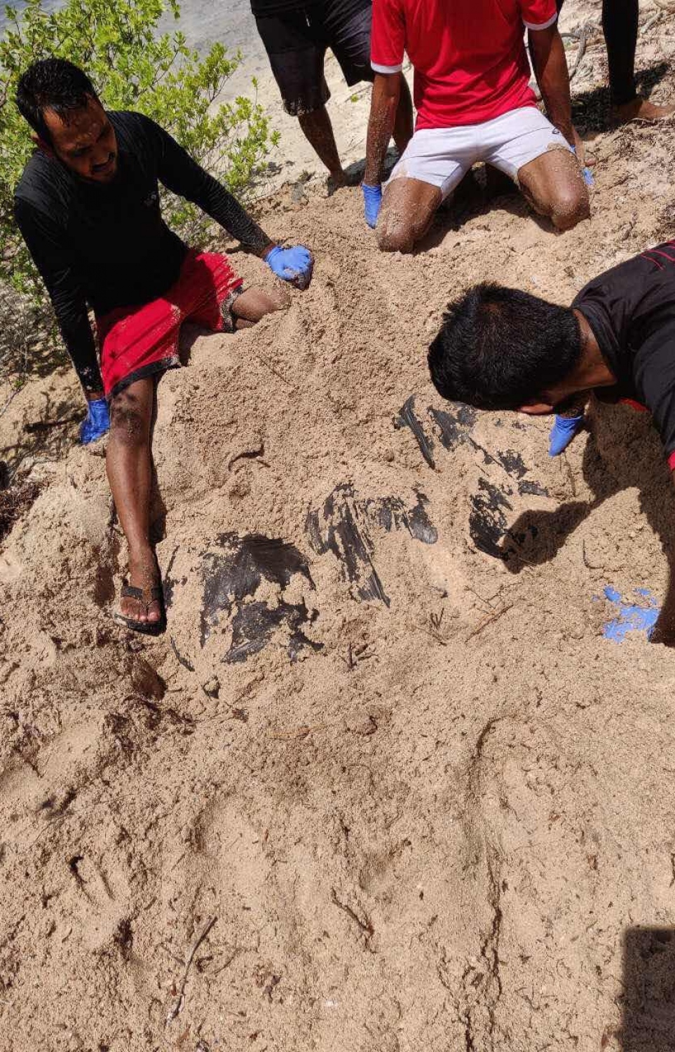 ހުޅުވާރުލުގައި ވަޅުލާފައި ހުރި ޑްރަގްސް ޕެކެޓްތަކެއް ނެގުމުގެ މަސައްކަތް ފުލުހުން ކުރަނީ. -- ފޮޓޯ: ފުލުހުން