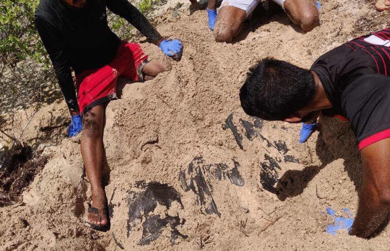 ހުޅުވާރުލުގައި ވަޅުލާފައި ހުރި ޑްރަގް ހޯދުމުގެ މަސައްކަތް ފުލުހުން ކުރަނީ -- ފޮޓޯ: ފުލުހުން