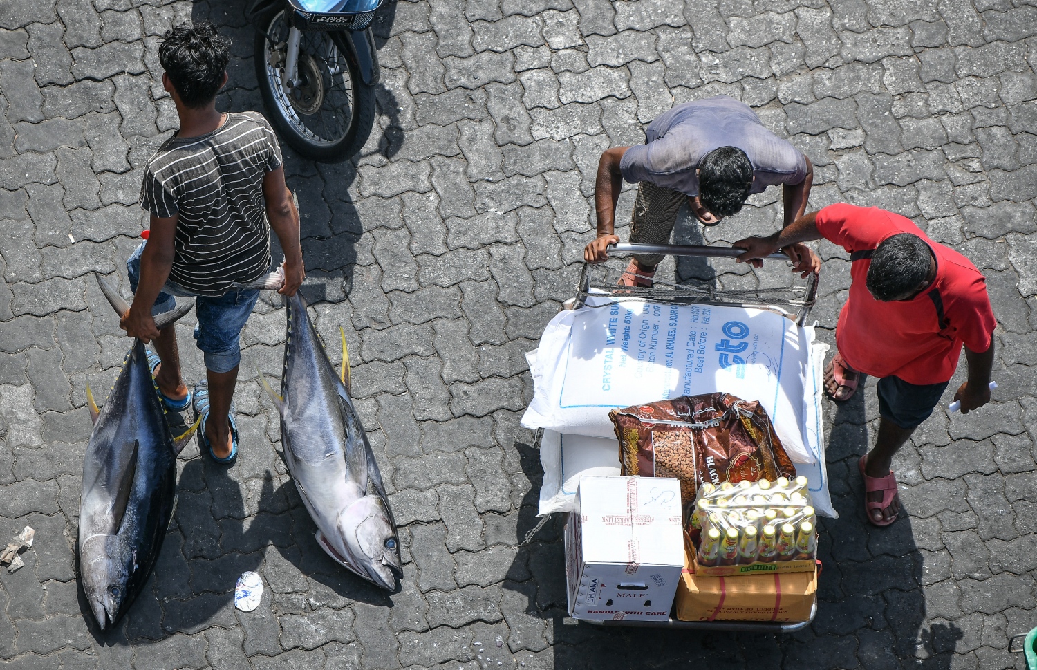 ރޯދައިގެ އެންމެ ފަހުގެ ތައްޔާރީތައް