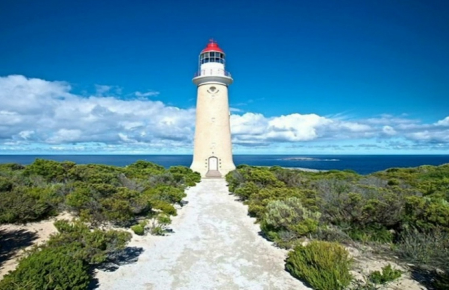 މަލިކު ބައްތި