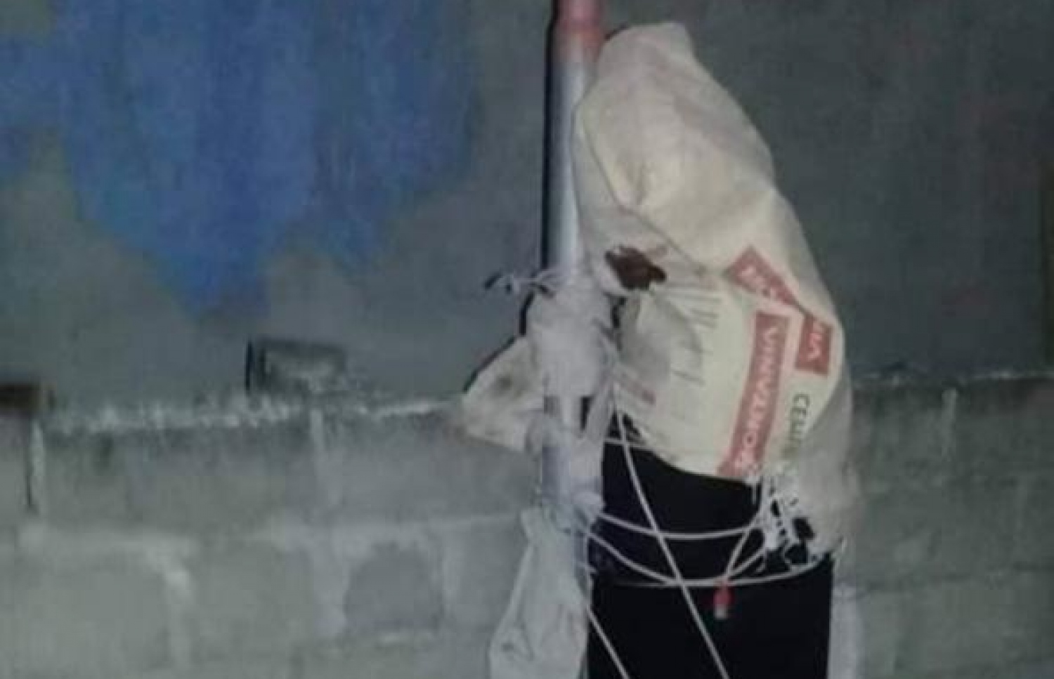 ނުކުޅެދުންތެރިކަން ހުންނަ މީހާ ހޮޅިދަނޑިއެއްގައި އައްސާފައި. --