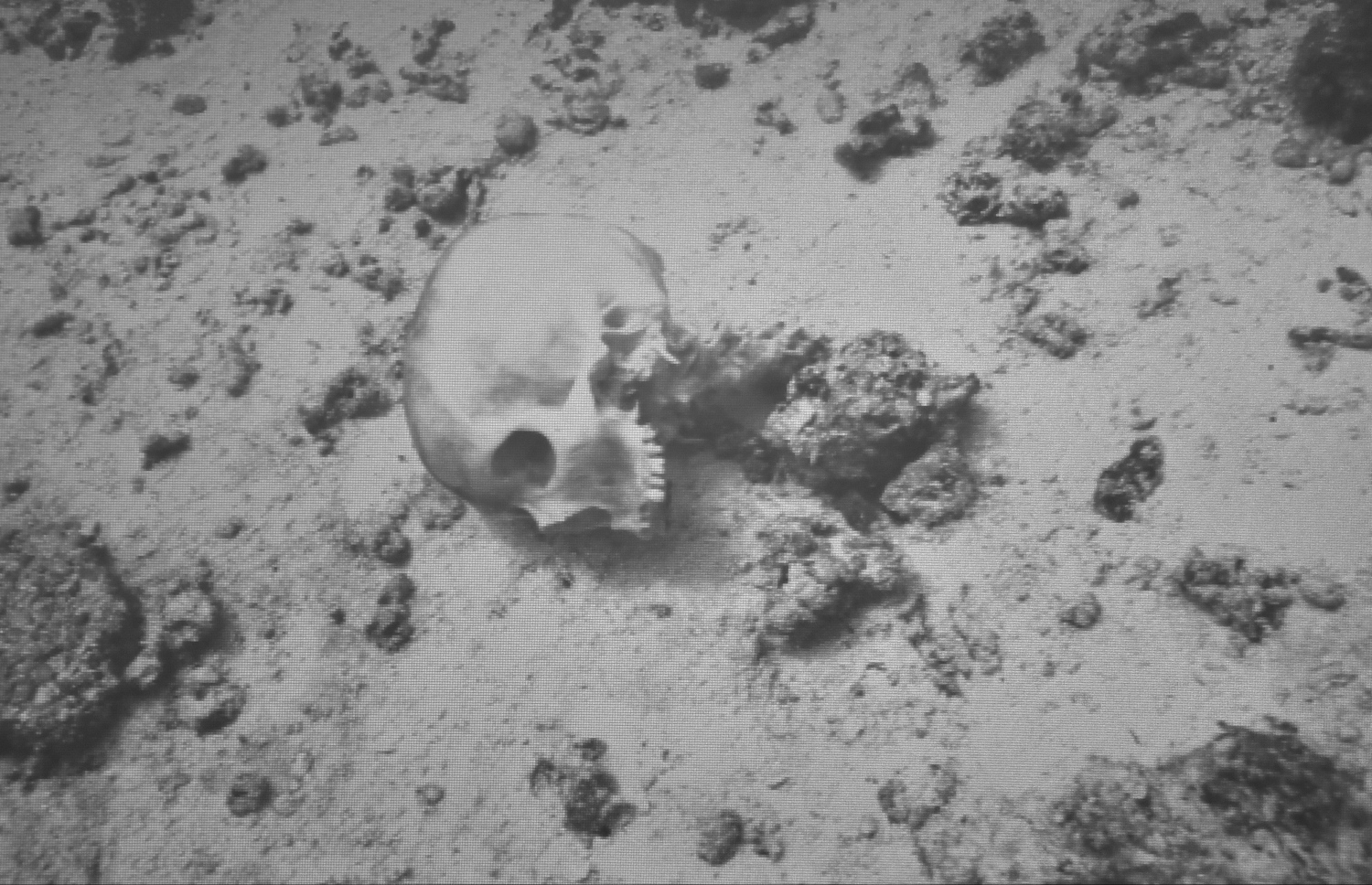 ލުތުފަރުގެ ބޮލުގެ ނާށިގަނޑު