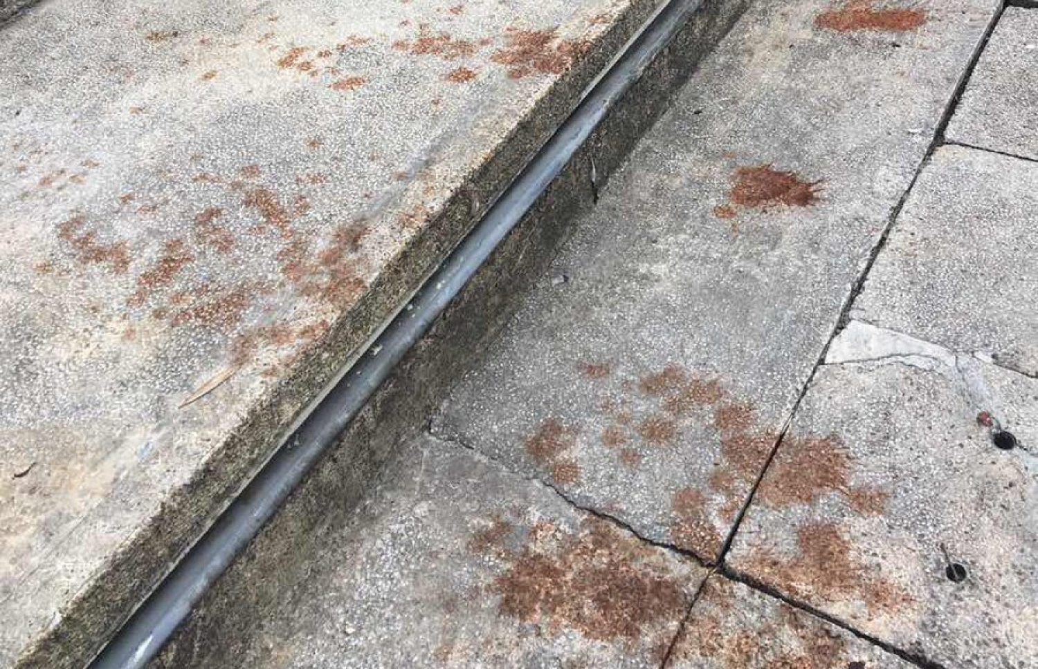 ޖުމްހޫރީ މައިދާނުގައި ހުންނަ ފެންއަރުވާ ވަޑާން ތެރެއަށް ރަތް ކުޅު ޖަހާފައި. -- ފޮޓޯ: ޝަމާއު