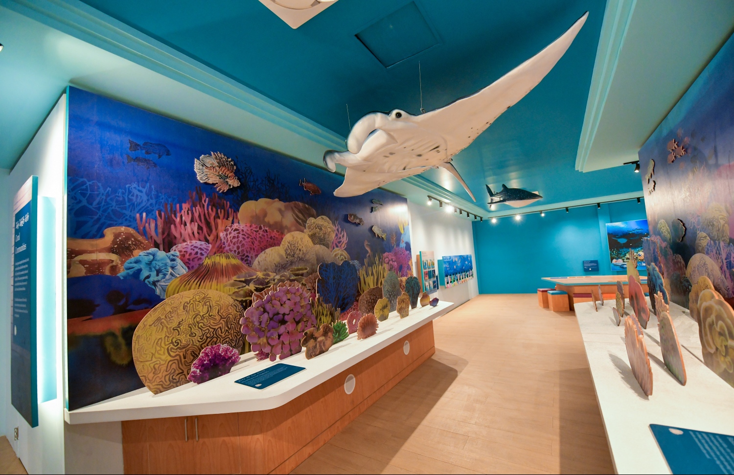 މޯލްޑިވްސް ޑިސްކަވަރީ ސެންޓަރުގައި ހުރި ކަނޑުގެ ދިރުންތަކާ ގުޅޭ މައުލޫމާތު-- ފޮޓޯ: ހުސައިން ވަހީދު/ މިހާރު