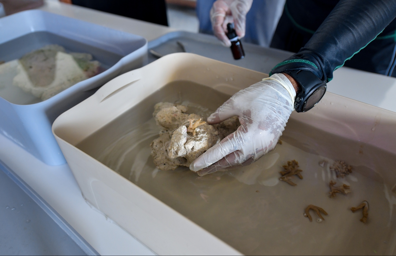 މެރިން ޑިސްކަވަރީ ސެންޓާ-- ފޮޓޯ: ހުސައިން ވަހީދު/ މިހާރު