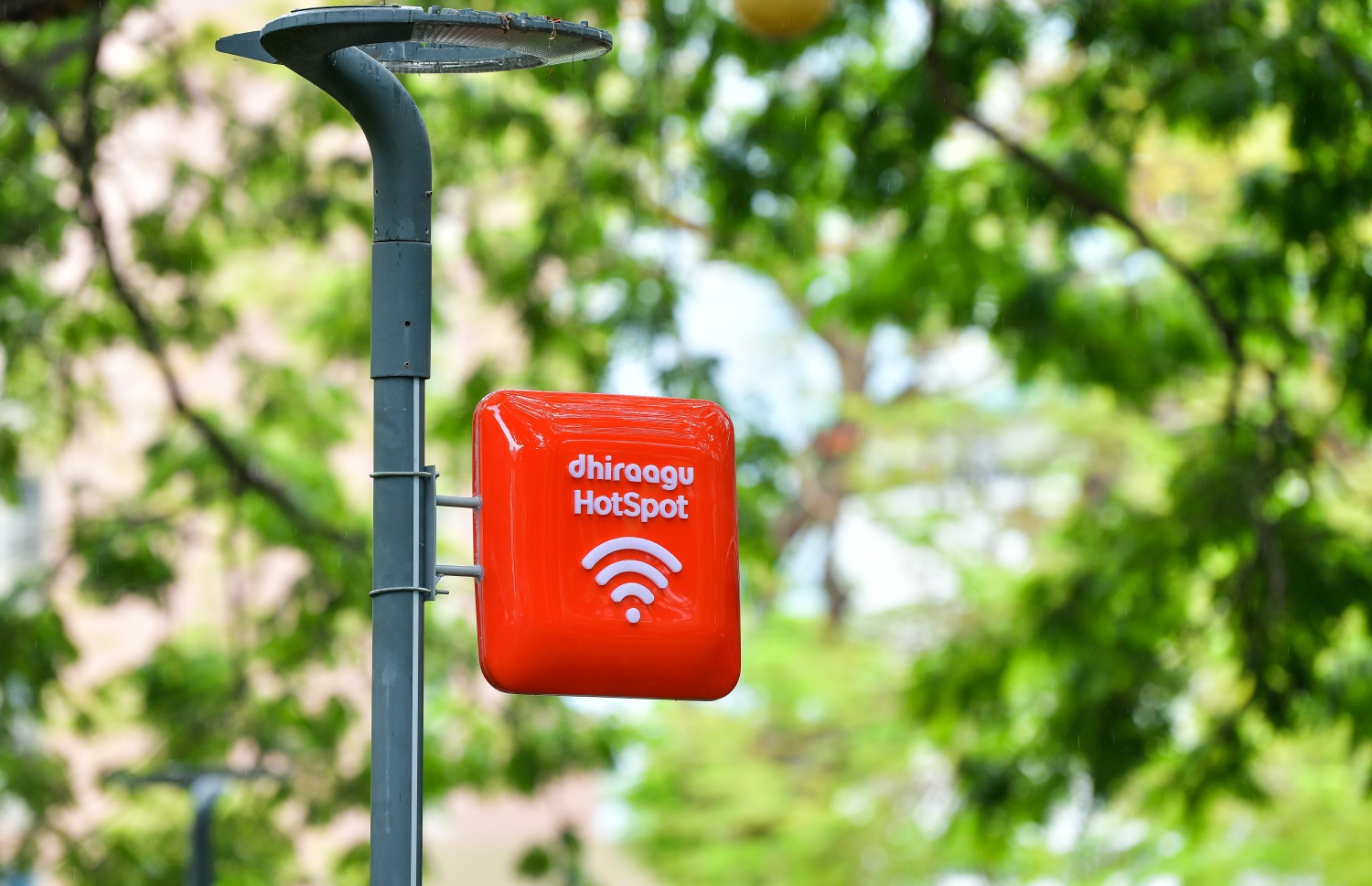 ދިރާގުން ހިލޭ ވައިފައި ދޫކުރާ ޕާކުތަކުގައި ބަހައްޓާފައި ހުންނަ ބޯޑު- ފޮޓޯ:ނިޝާން އަލީ/ މިހާރު