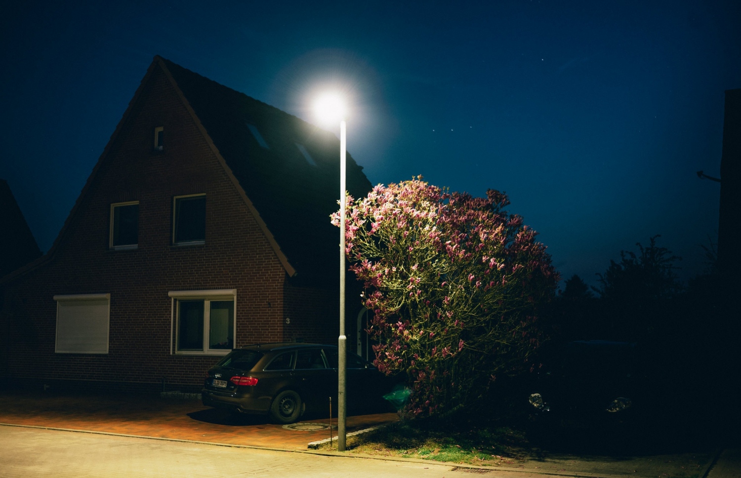 ޑެލްމެންހޯސްޓް ހޮސްޕިޓަލްގައި މަސައްކަތްކުރި އިރު ހޯގެލް ދިރިއުޅުނު ގެ: އެހެން އެއްވެސް އިންސާނަކާ މެދު އޭނާގެ ހިތުގައި ހަމްދަރުދީއެއް ނެތް