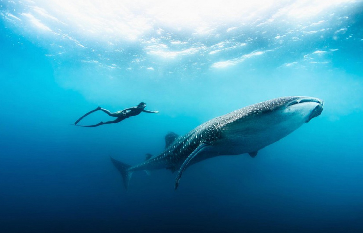 ޓޫރިސްޓަކު ފެހުރިއްސަކާ އެކު: ބަޔޮސްފިއާ ރިޒާވްތައް ހެދުމުން ބޮޑެތި ފައިދާތަކެއް ލިބޭ --ލިނާޓްރެވަލް