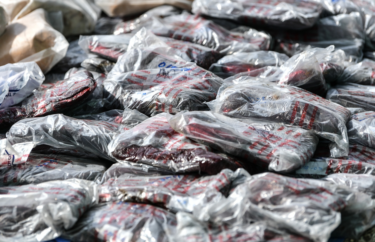 ދޫނިދޫ: ޖޫން 26، 2019- ތަފާތު އެކި މައްސަލަތަކުގައި ފުލުހުން އަތުލައިގެންފައި ހުރި 414 މިލިއަން ރުފިޔާގެ މަސްތުވާތަކެތި ނައްތާލުމަށް ތައްޔާރު ކޮށްފައި: މަސްތުވާތަކެއްޗާ ދެކޮޅަށް މަސައްކަތްކުރާ ބައިނަލްއަގްވާމީ ދުވަހާ ގުޅުވައިގެން ފުލުހުން މިއަދު ވަނީ 419 ކިލޯގެ މަސްތުވާތަކެތި ދޫނިދޫގައި ނައްތާލައިފައި.--ފޮޓޯ: ނިޝާން އަލީ/މިހާރު