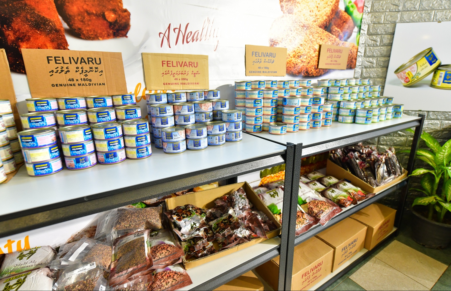 މިފްކޯގެ މަހުގެ އުފެއްދުންތައް-- ފޮޓޯ: މިހާރު