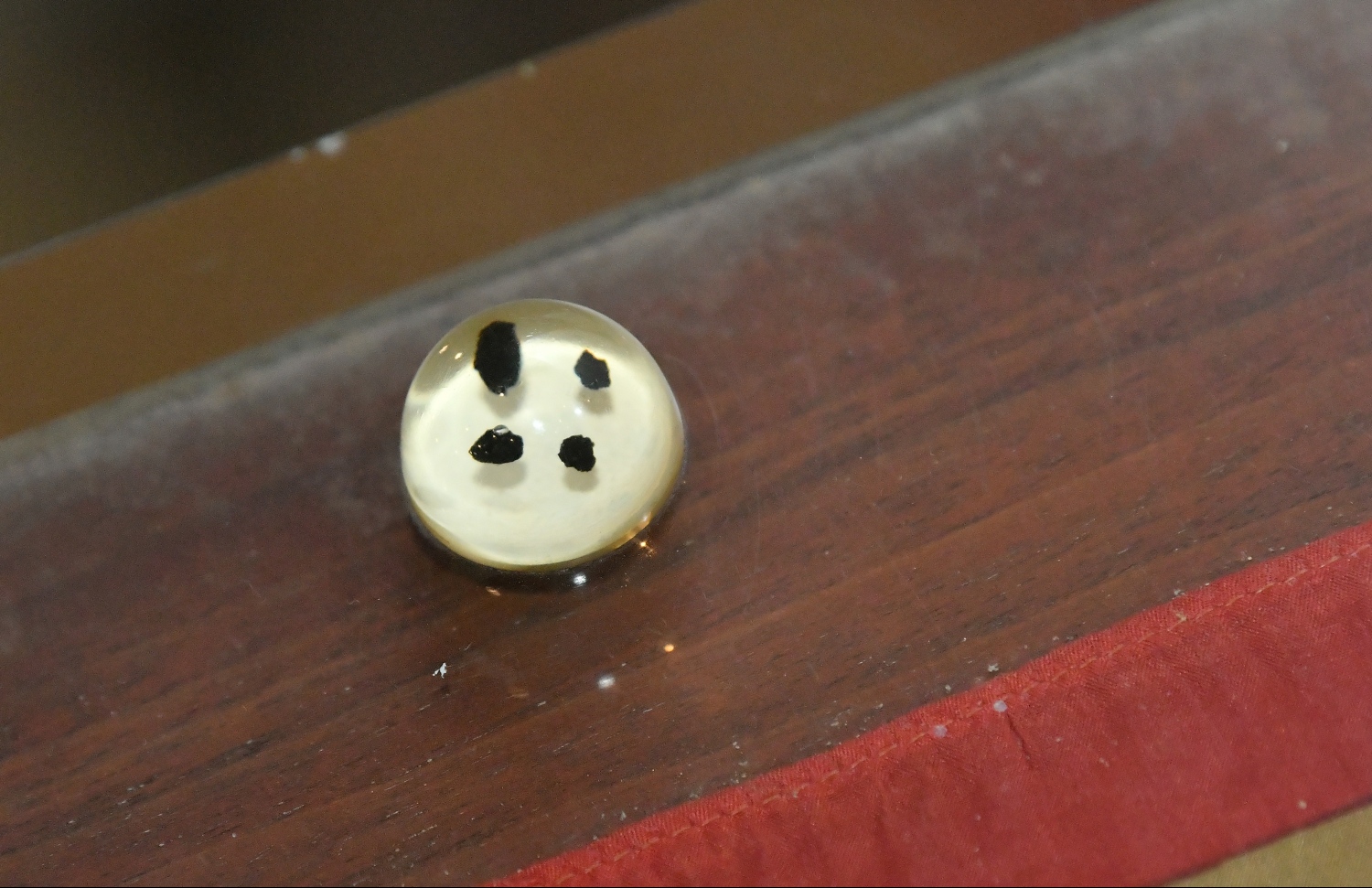 އެމެރިކާއިން ރާއްޖެއަށް ހަދިޔާކުރި ހަނދުގެ ހަތަރު ހިލަކޮޅު: އިންސާނުން ހަނދަށް ދިއުމަކީ މުޅި އިންސާނިއްޔަތަށް ލިބުނު ކާމިޔާބީއެއް