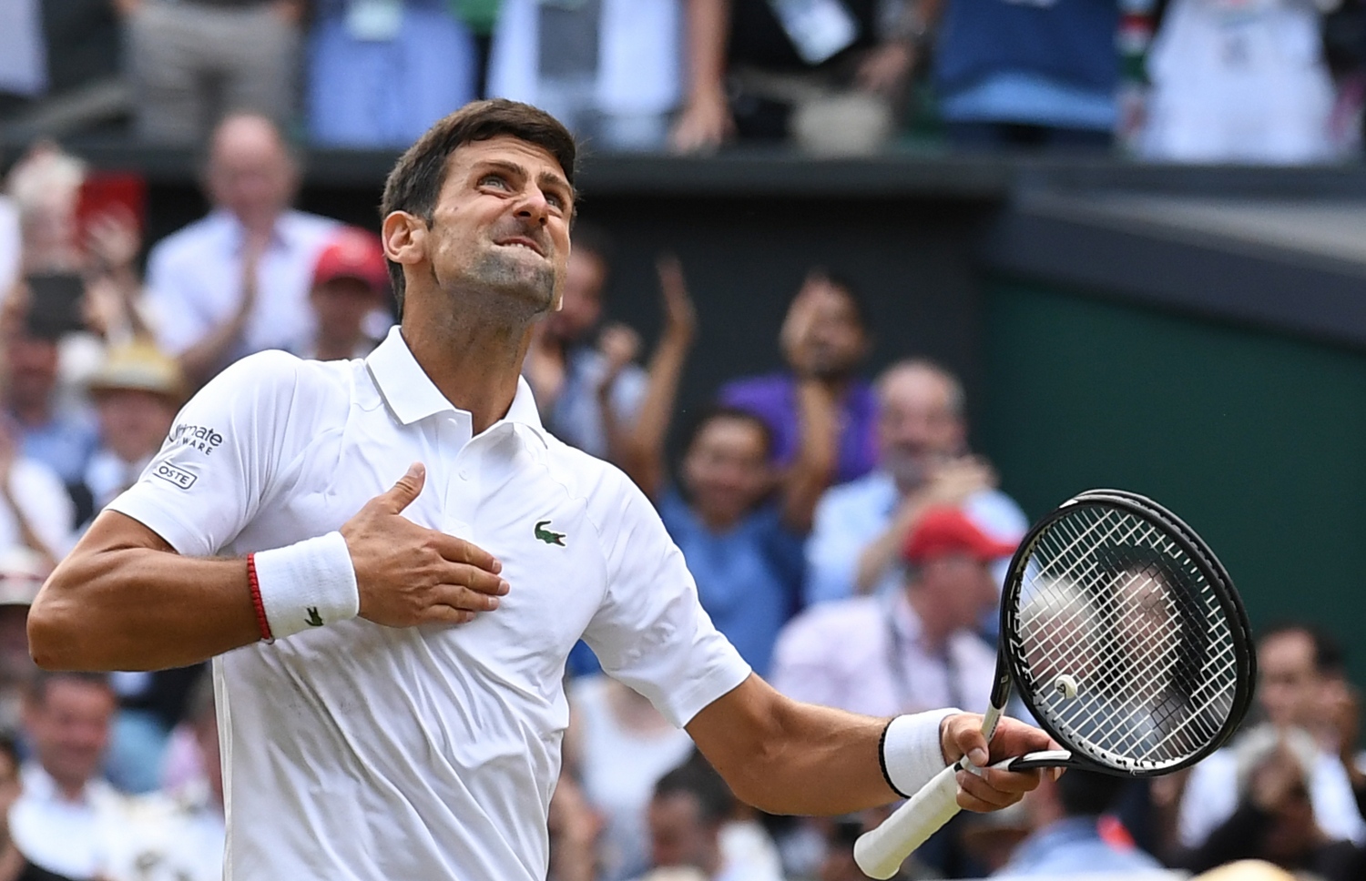 މެޗުގެ ތެރެއިން ޖޮކޮވިޗް އުފާފާޅުކުރަނީ. -- ފޮޓޯ: އޭއެފްޕީ