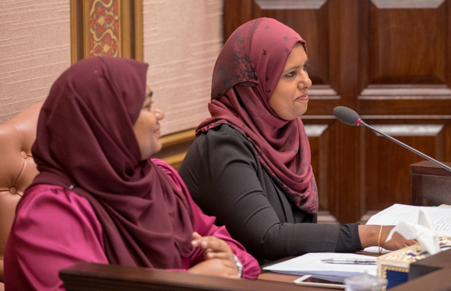 ރައްޔިތުންގެ މަޖިލިހުގެ މިއަދުގެ ޖަލްސާގައި ޖެންޑަ މިނިސްޓަރު ޝިދާތާ ޝަރީފް (ކ) --- ފޮޓޯ: މަޖިލިސް