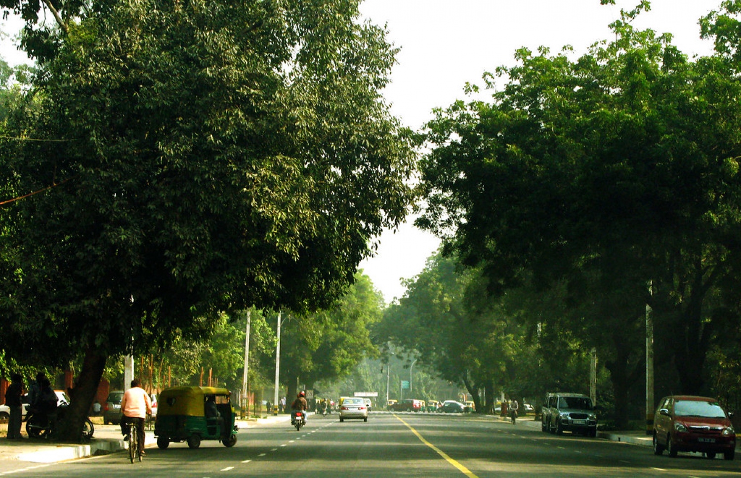 ނިއު ދިއްލީގެ މަގެއްގައި ވެހިކަލްތަކެއް ހަރަކާތްތެރި ވަނީ.