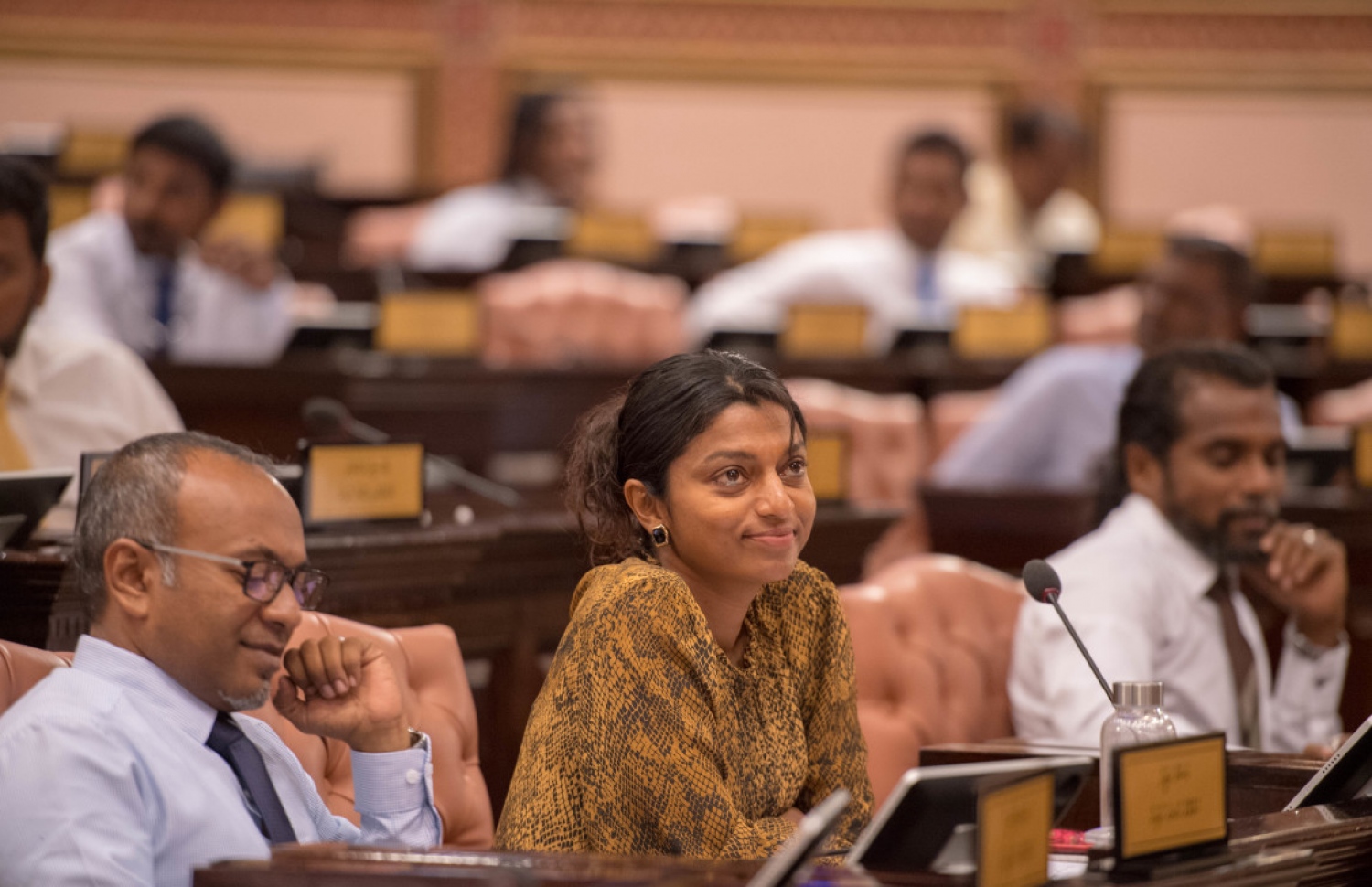 ރައްޔިތުންގެ މަޖިލިހުގެ ޖަލްސާއެއްގައި މެމްބަރުން ބައިވެރިވެވަޑައިގަންނަވަނީ. --- ފޮޓޯ: މަޖިލިސް