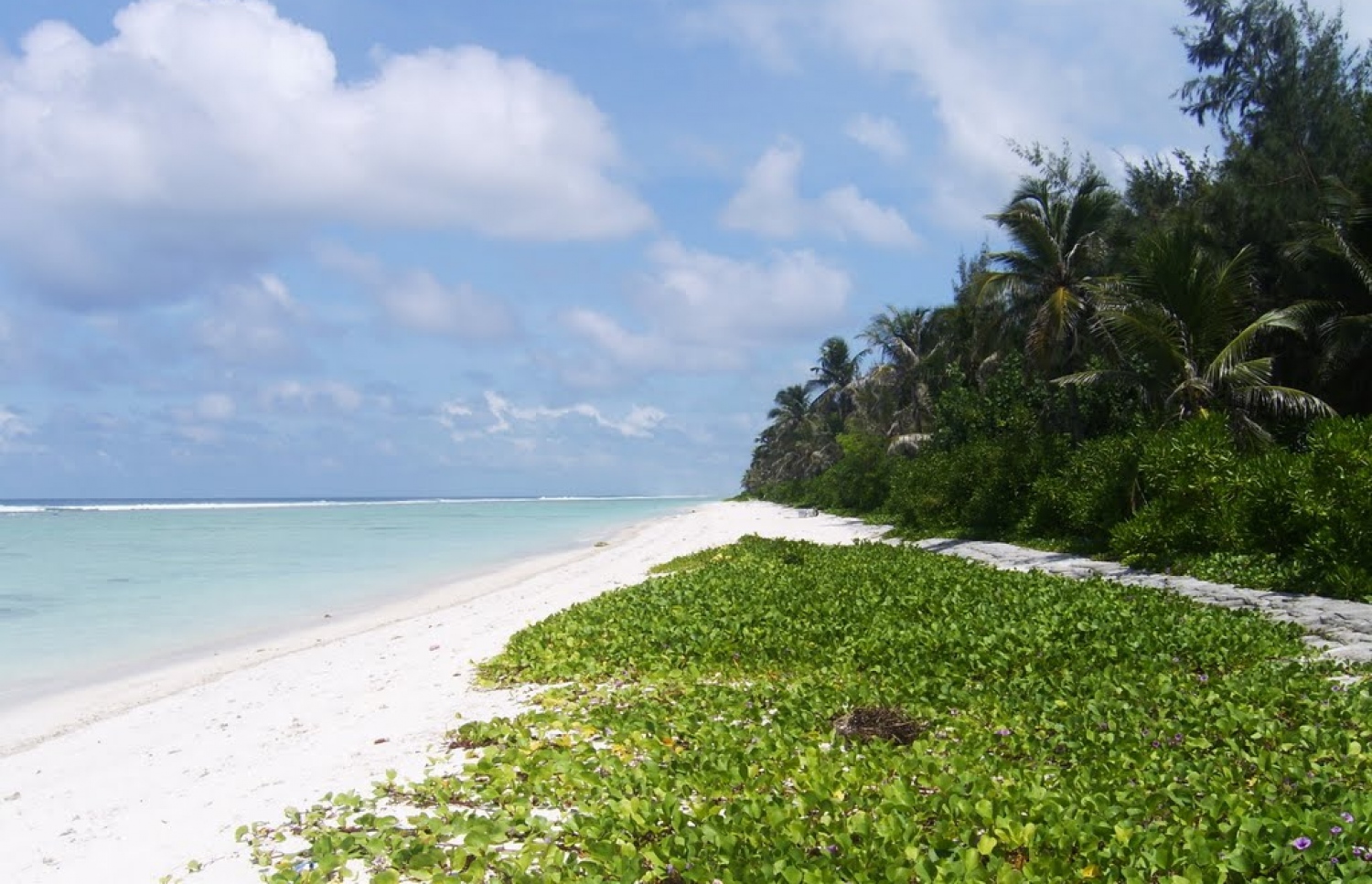 ހުޅުމާލެ ބީޗު ސަރަހައްދު އެންމެ ކުރިން އޮތް ގޮތް: ކެފޭ/ރެސްޓޯރެންޓްތަކާ އެކު ތަނަށް ވަނީ ބޮޑު ބަދަލެއް އައިސްފައި