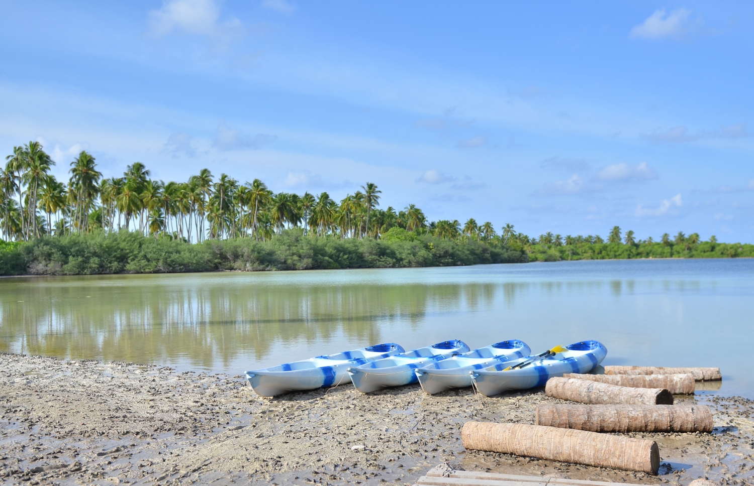 ސ. ހިތަދޫ އީދިގަލި ކިޅި އާއި ކޯއްޓޭ ސަރަހައްދުގައި ގާއިމްކޮށްފައިވާ އައްޑޫ ނޭޗާ ޕާކްގެ ހިތްގައިމު މަންޒަރެއް: މިއީ ޕިކްނިކް ދިއުމަށާއި ތިމާވެށީގެ މައުލޫމާތު އެއްކުރަން ވެސް މިހާރު ބޭނުންކުރާ ޕާކެއް.---ފޮޓޯ: އަހުމަދު މަހްޒޫމް