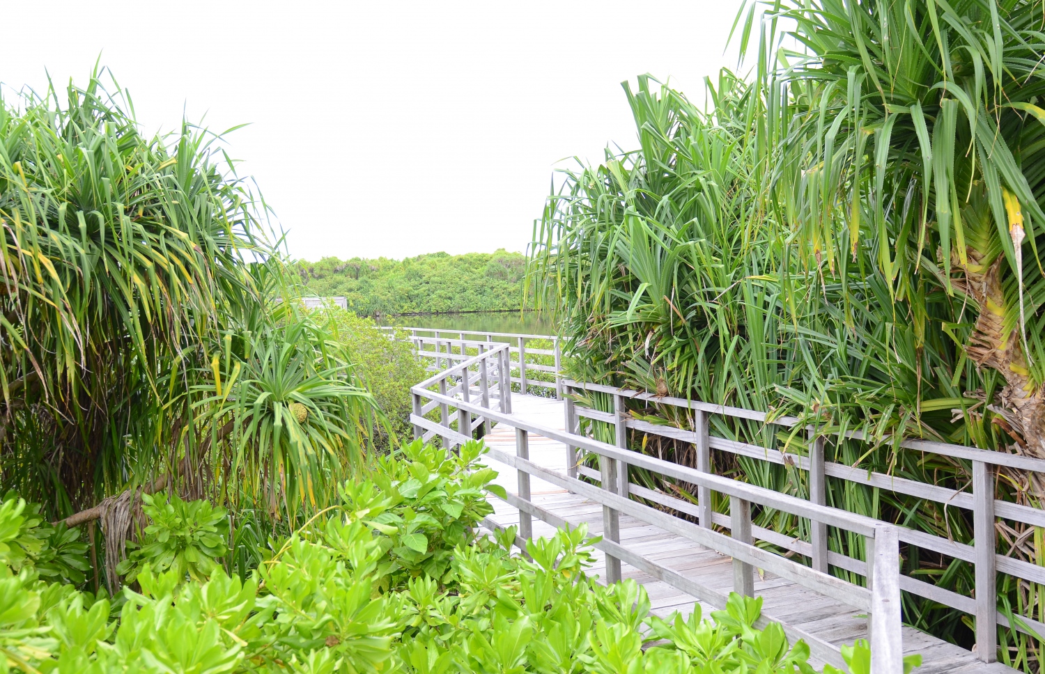 އައްޑޫ ނޭޗާ ޕާކްގެ މަންޒަރުތައް