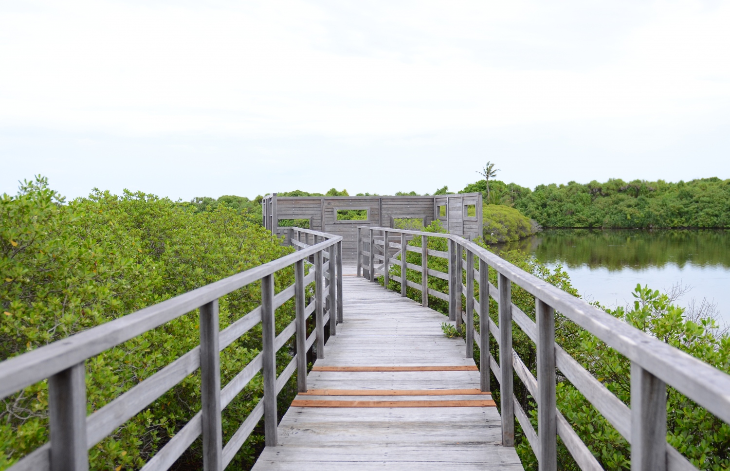 ސ. ހިތަދޫ: ޖުލައި 17، 2019- އައްޑޫ ނޭޗާ ކްލަބްގައި ހިމެނޭ އީދިގަލި ކިޅި ބެލުމަށް ޚާއްސަ ކޮށްފައިވާ ޕްލެޓްފޯމް.---ފޮޓޯ: އަހުމަދު މަހްޒޫމް